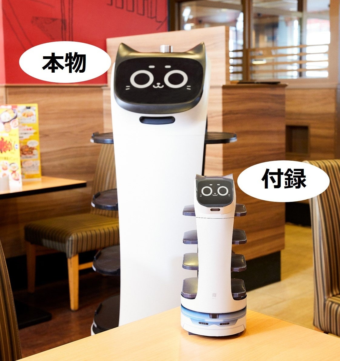 ファミリーレストランで大活躍！ ネコ型配膳ロボット【BellaBot