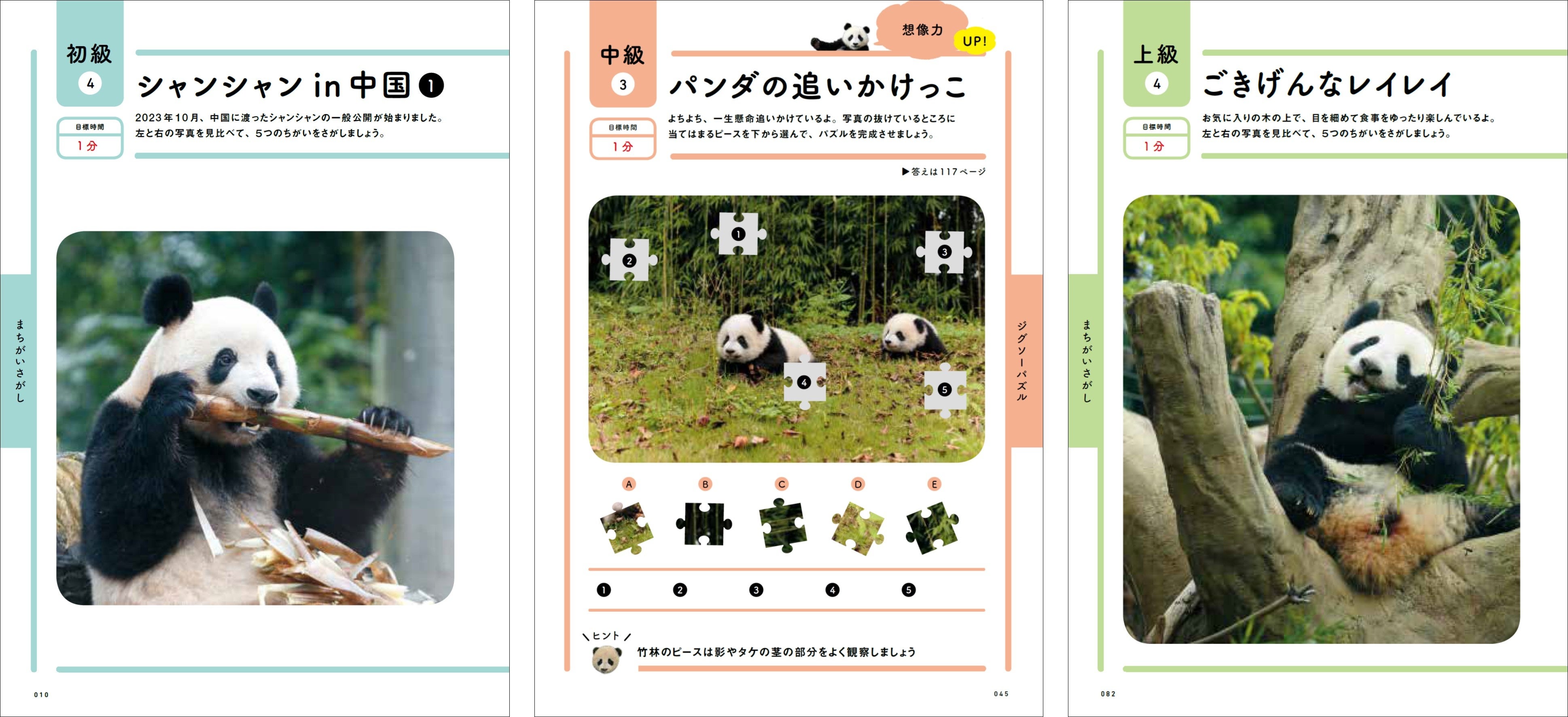⭐︎シャンシャンです、5本⭐︎ シャンシャンの貴重なカットも収録！】 見ているだけで癒される
