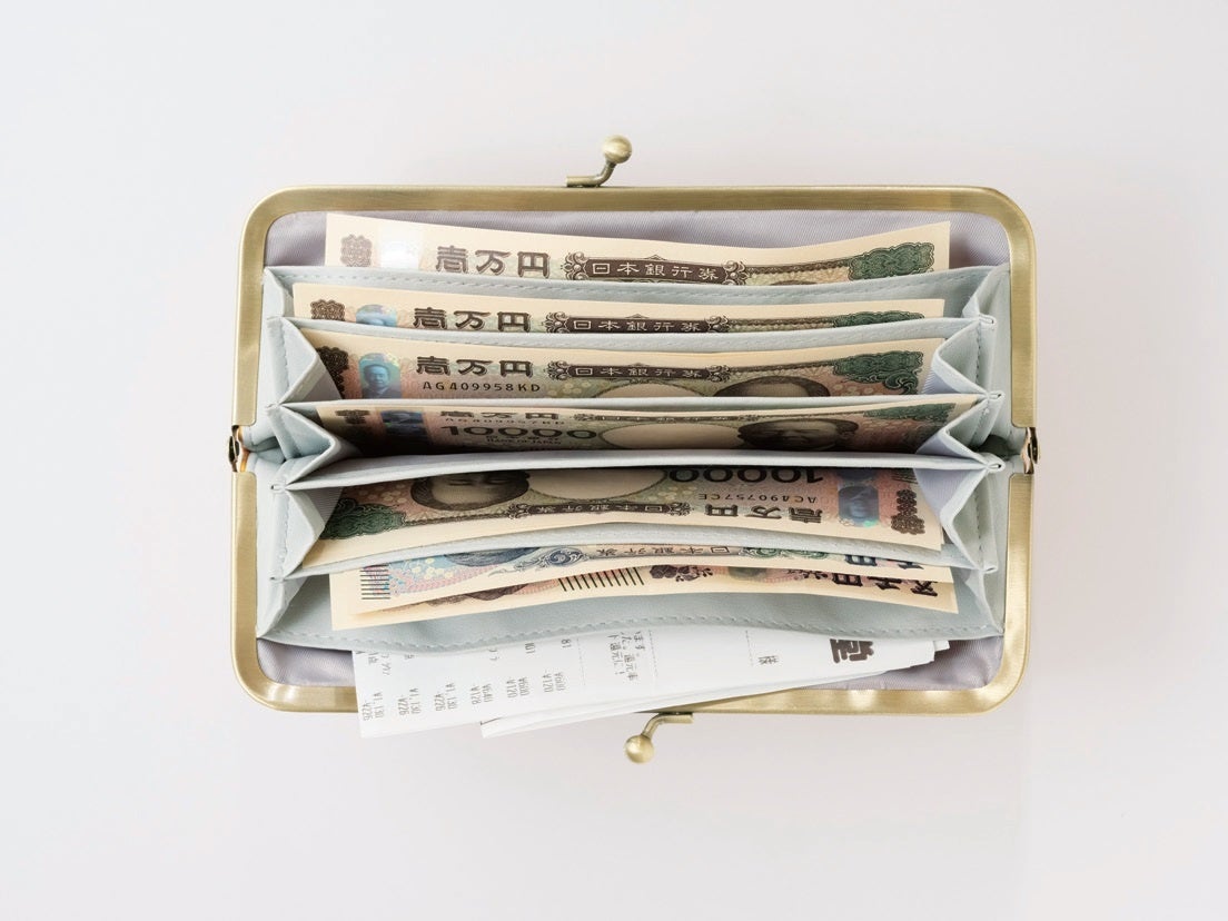 づんの家計簿　手帳ポーチ お金が貯まる! づんの家計簿 A5バインダーポーチBOOK | 付録