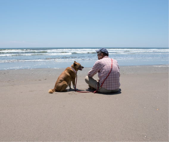 農家のトシさんと雑種犬ララの日常を伝える大人気SNSアカウント『海辺 農家のトシさんと雑種犬ララの日常を伝える大人気SNSアカウント『海辺