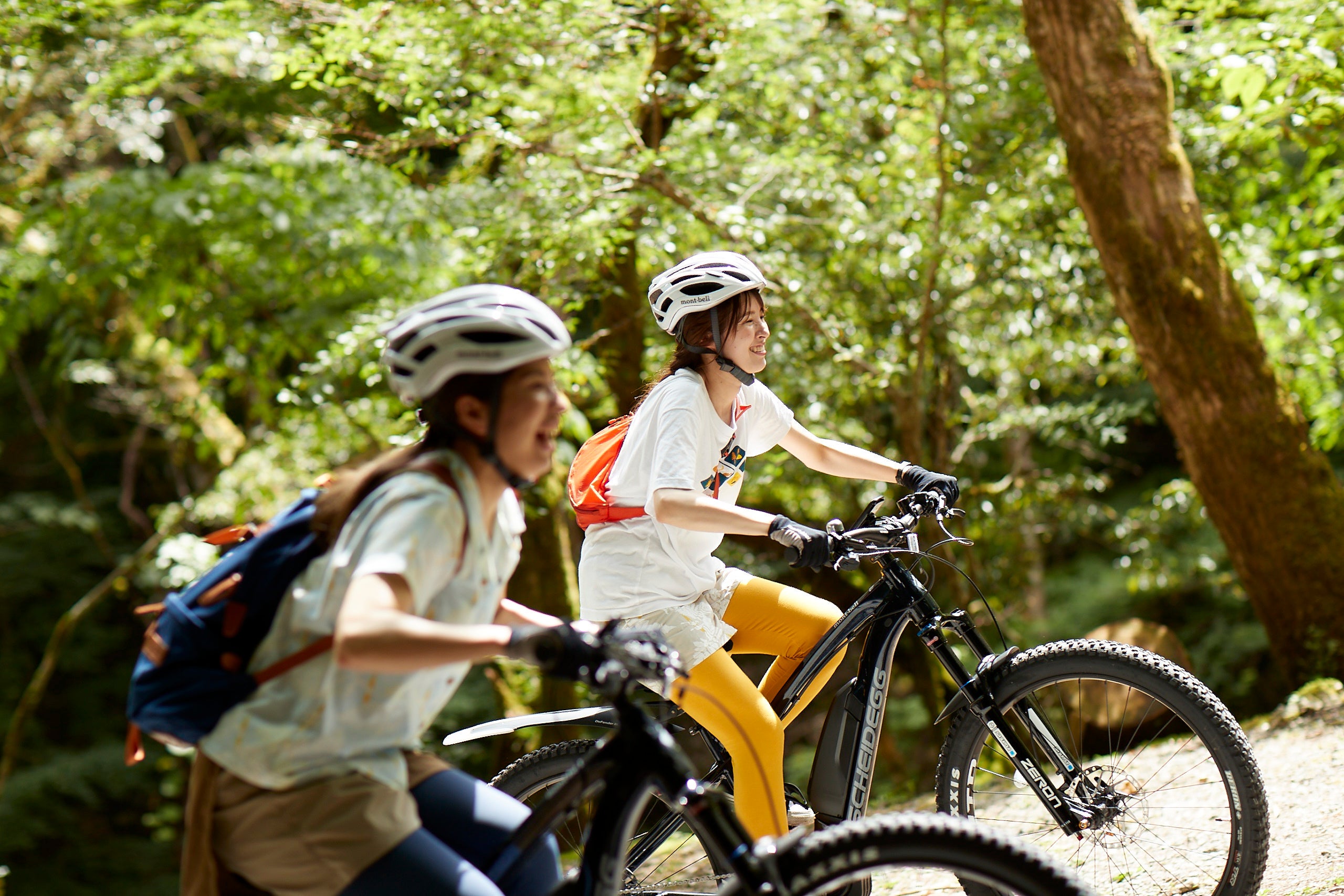 宍粟の森をEバイクで駆け抜けるプログラム「セラピーバイク」
