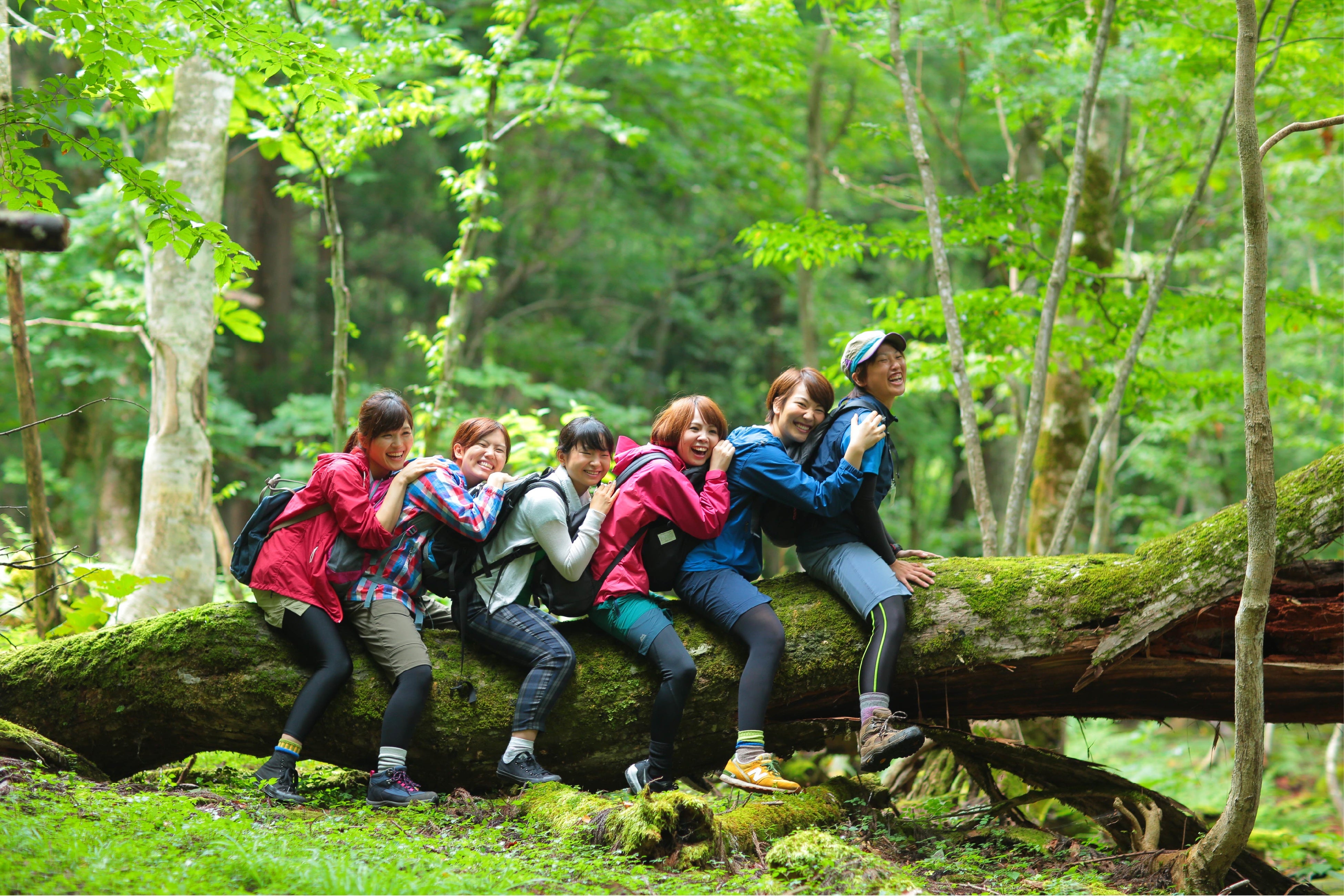 企業の健康経営への貢献が期待される森林セラピー