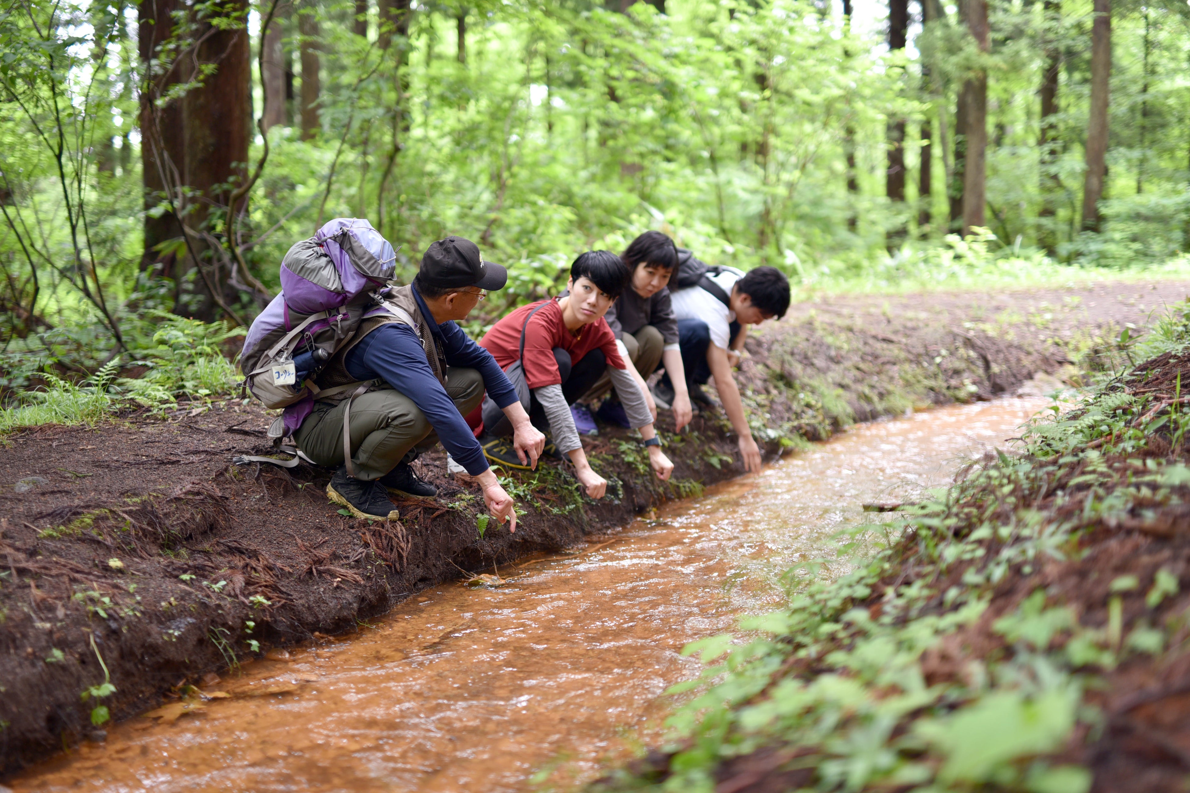 森林セラピー体験