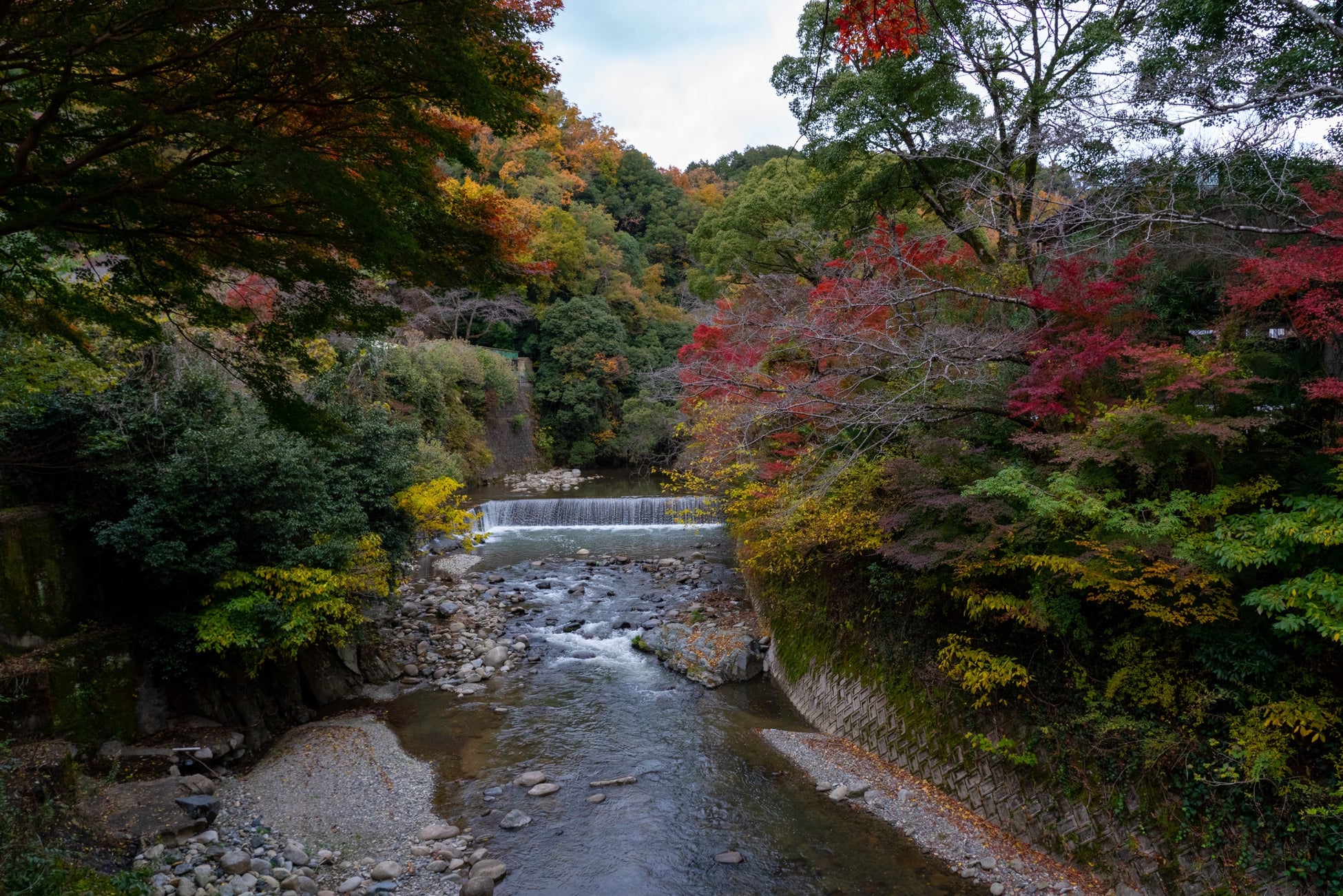 自然に囲まれているので朝は旅館の周りを散歩するのもおすすめです