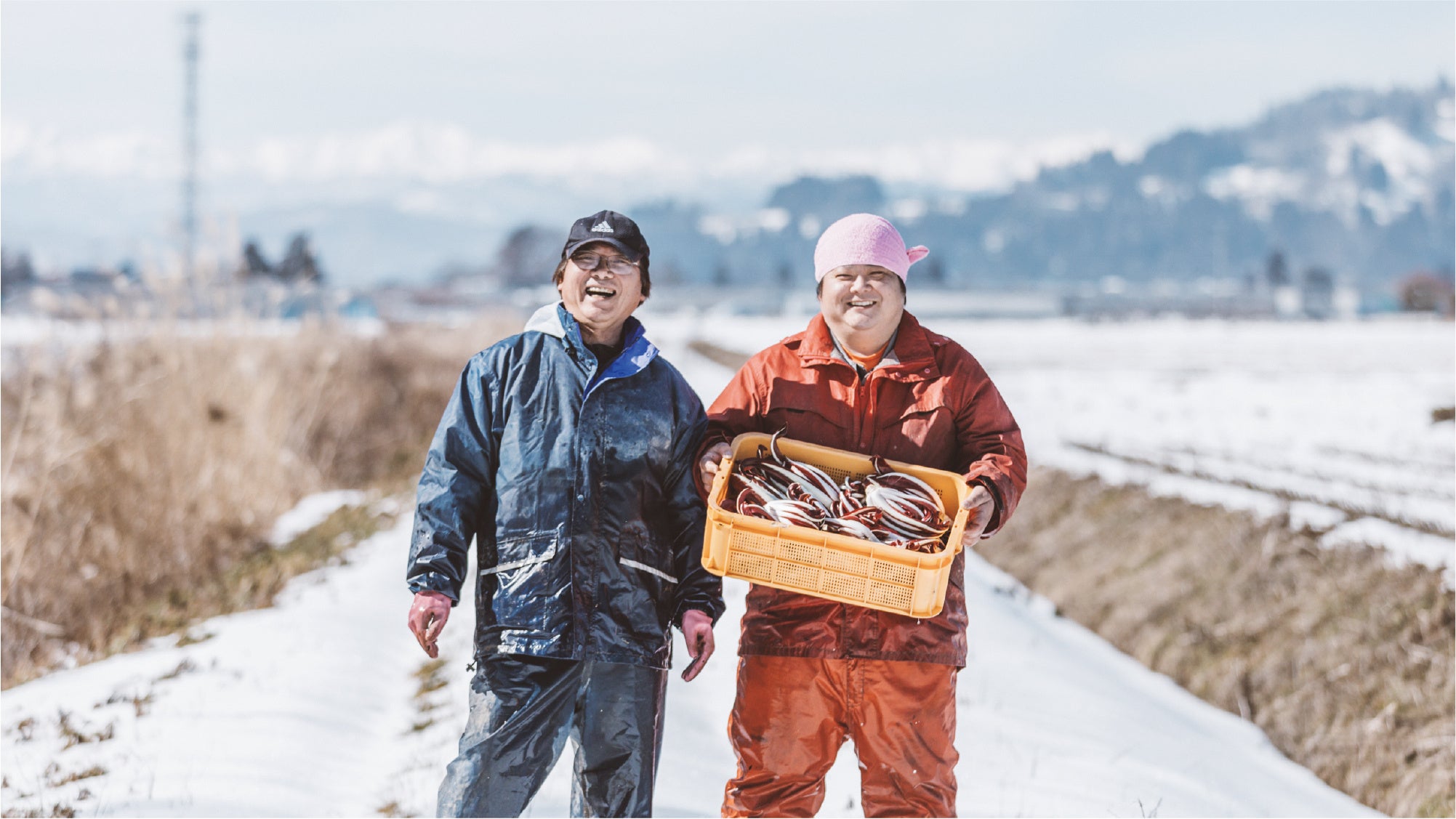 イタリア野菜の収穫体験（河北町）