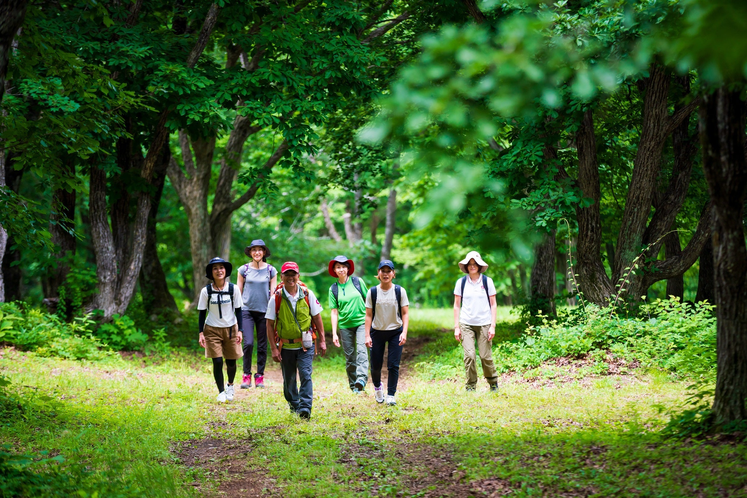 心と体の健康増進プログラム「クアオルト健康ウォーキング」