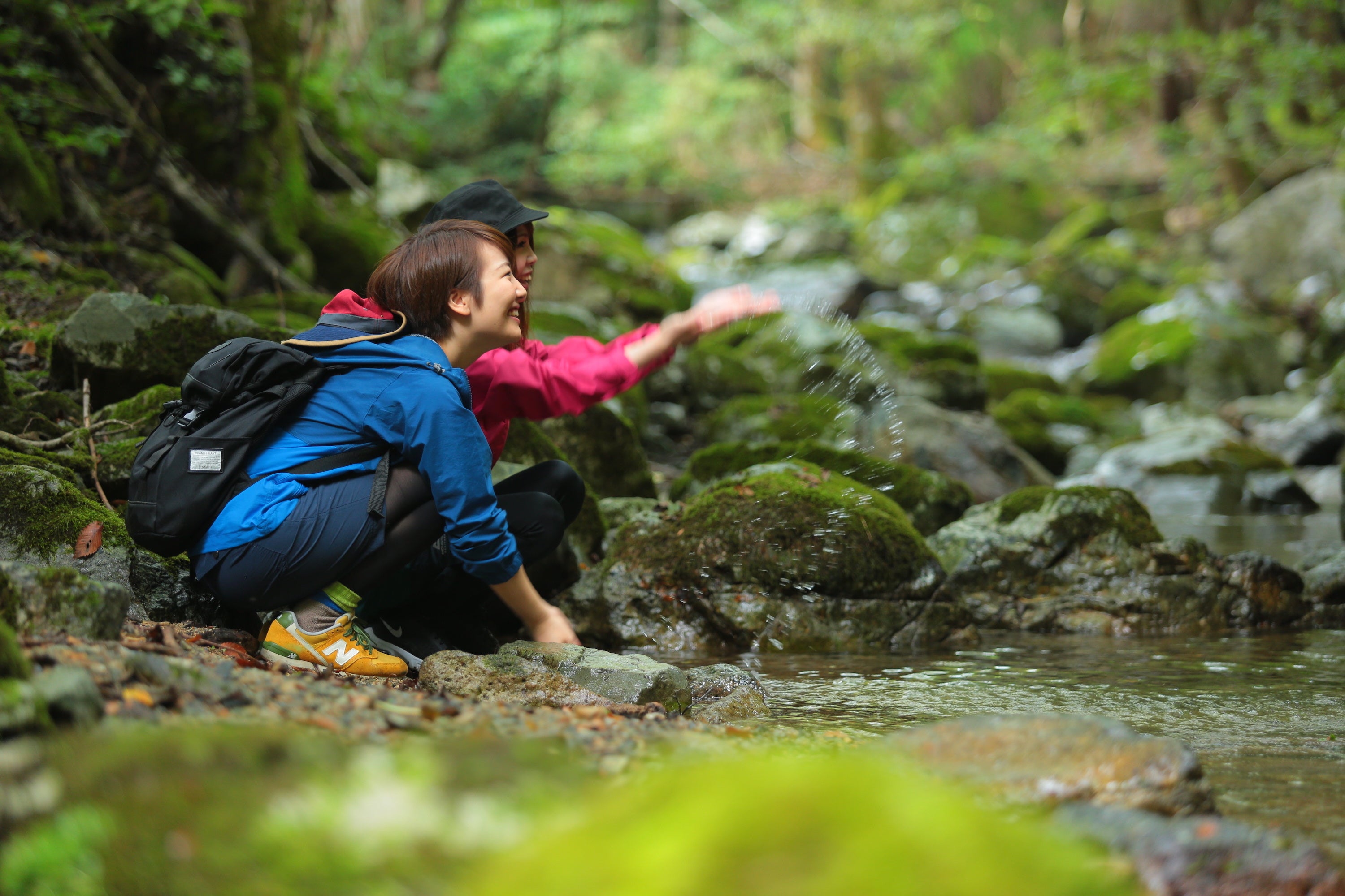 宍粟市の緑ゆたかな森林と清流