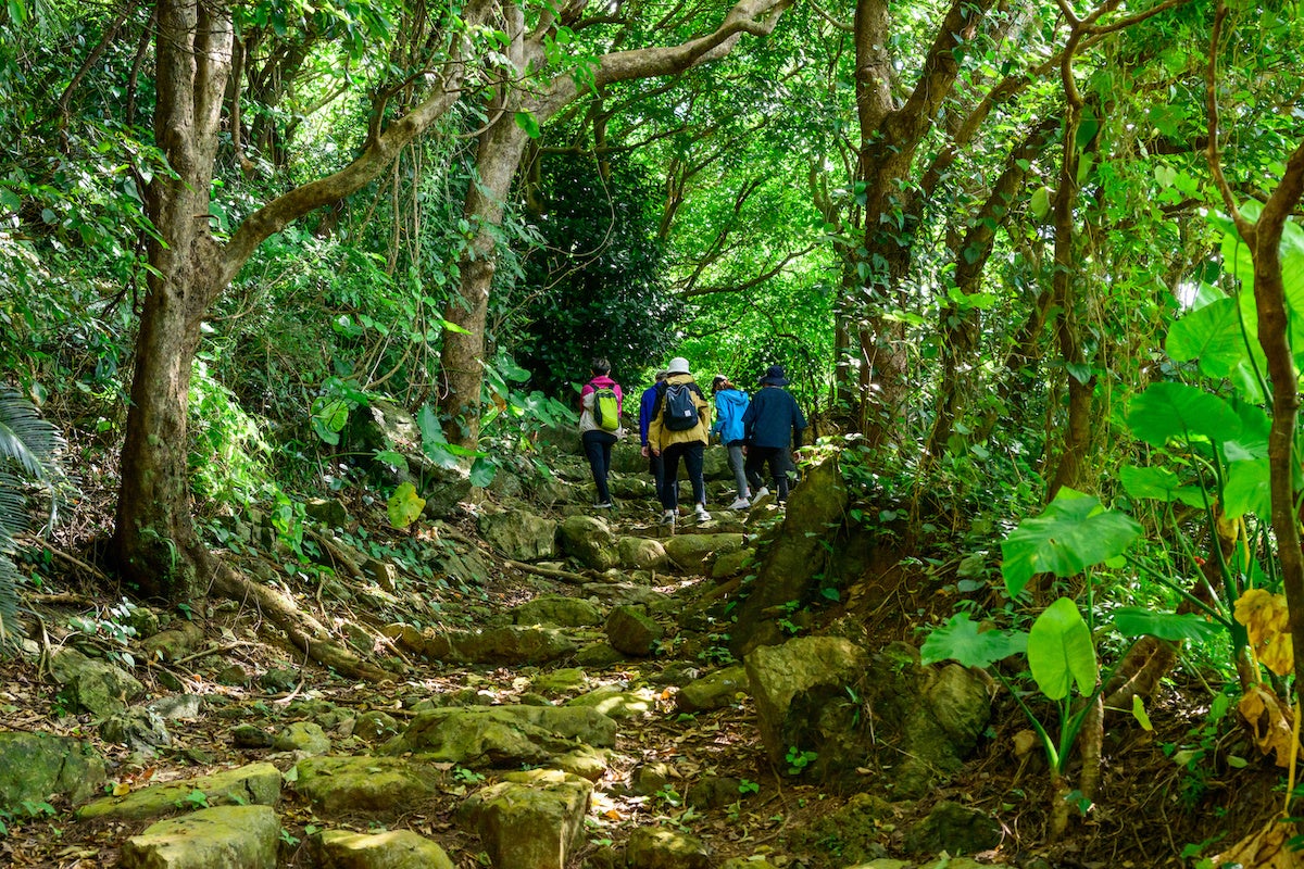 心身の健康増進を目的とした「ハンタ道セラピー」
