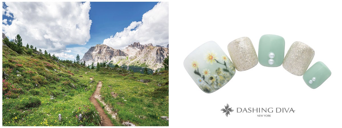 澄んだ空気の青空に映えるアルプスのお花畑をイメージ