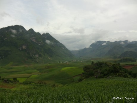トアンザオ郡内事業地の風景