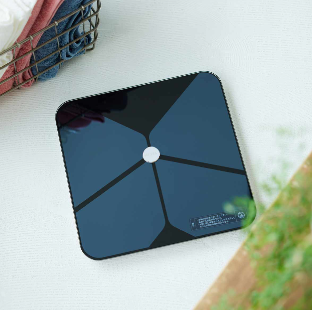 HESTAヘルスメーターの商品画像