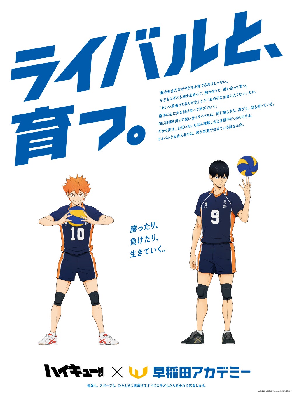 早稲田アカデミー×ハイキュー‼: 青春スポーツコラボが始動!ライバルとの成長を応援 早稲田アカデミー×ハイキュー‼: 青春スポーツコラボが始動!ライバルとの成長を応援