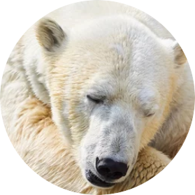 旭山動物園イメージ