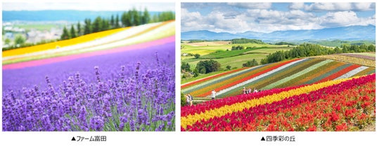 北海道・沖縄の2大観光地でオリジナルバス運行 富良野・美瑛を巡る旬のルートと宮古島ワンコイン絶景オープントップバスを設定 北海道・沖縄の2大観光地でオリジナルバス運行 富良野・美瑛を巡る旬のルートと宮古島ワンコイン絶景オープントップバスを設定