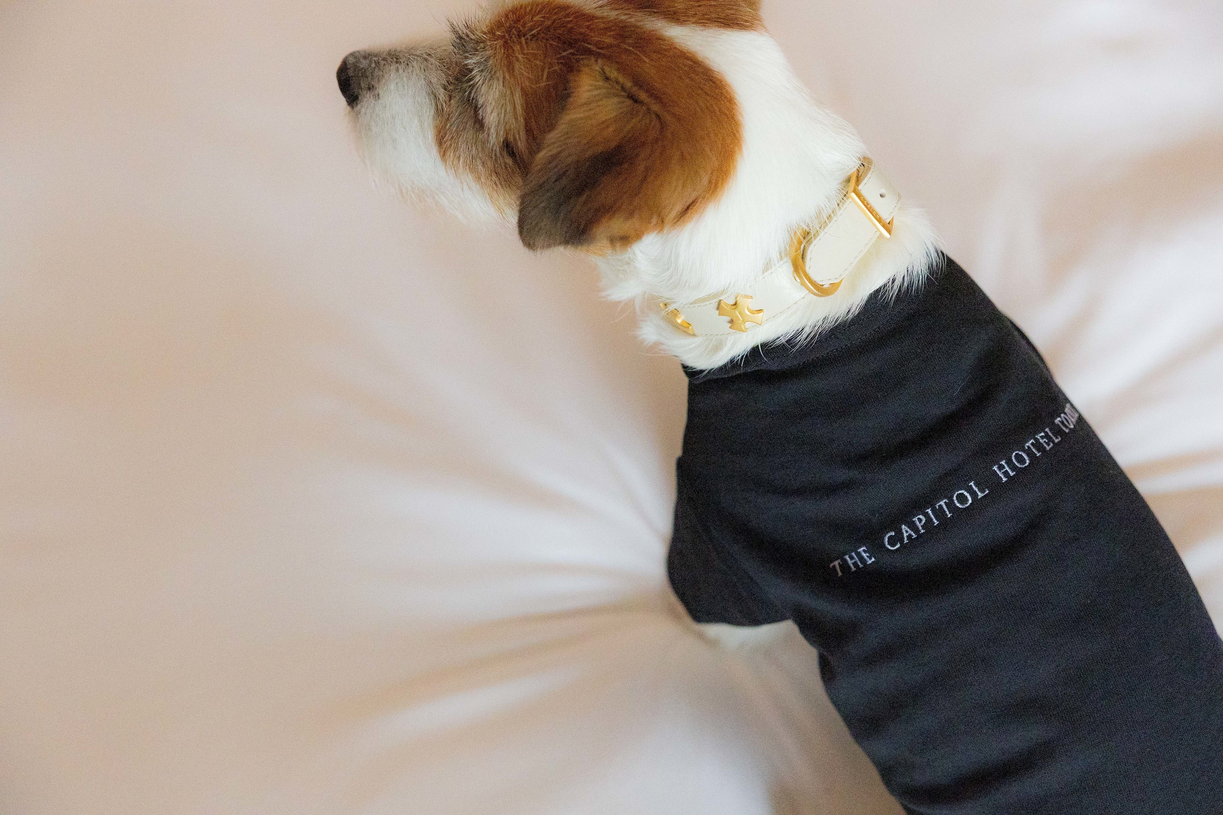 ザ・キャピトルホテル 東急 ロゴ入りオリジナルTシャツ