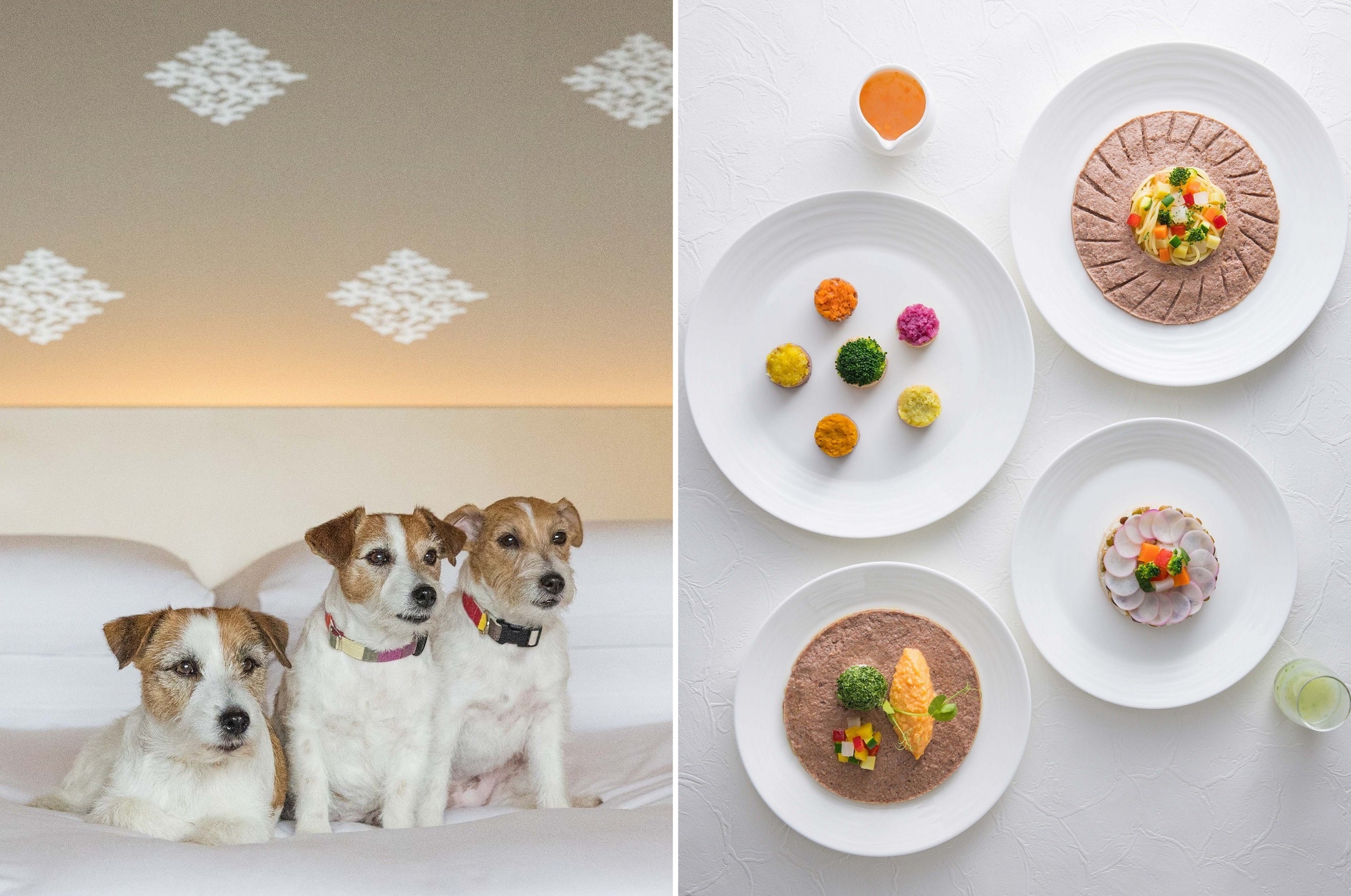 （左）客室で過ごす愛犬3匹のイメージ（右）愛犬のルームサービスディナー&ブレックファースト