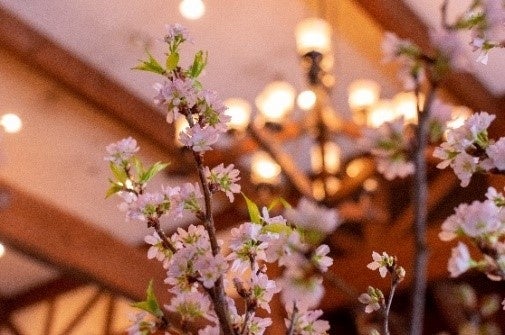 特設ブースは桜で彩られる