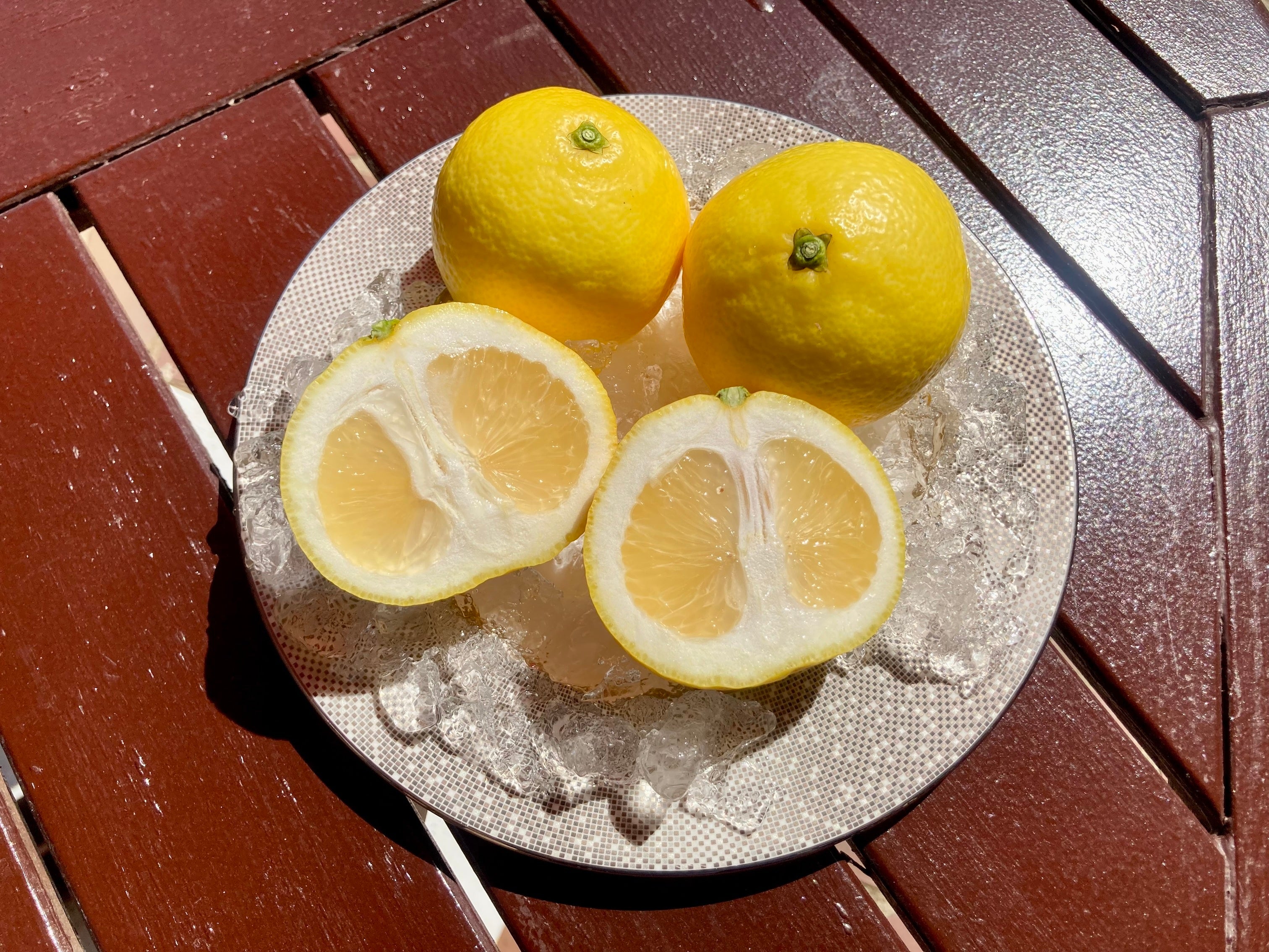 白鳥さんの作った“種なし”ニューサマーオレンジ