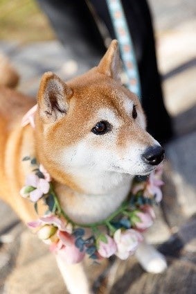 新婦のブーケとお揃いのリース