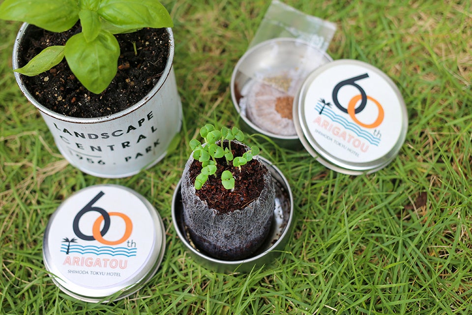 60周年記念ロゴ入りミニハーブ缶プレゼント