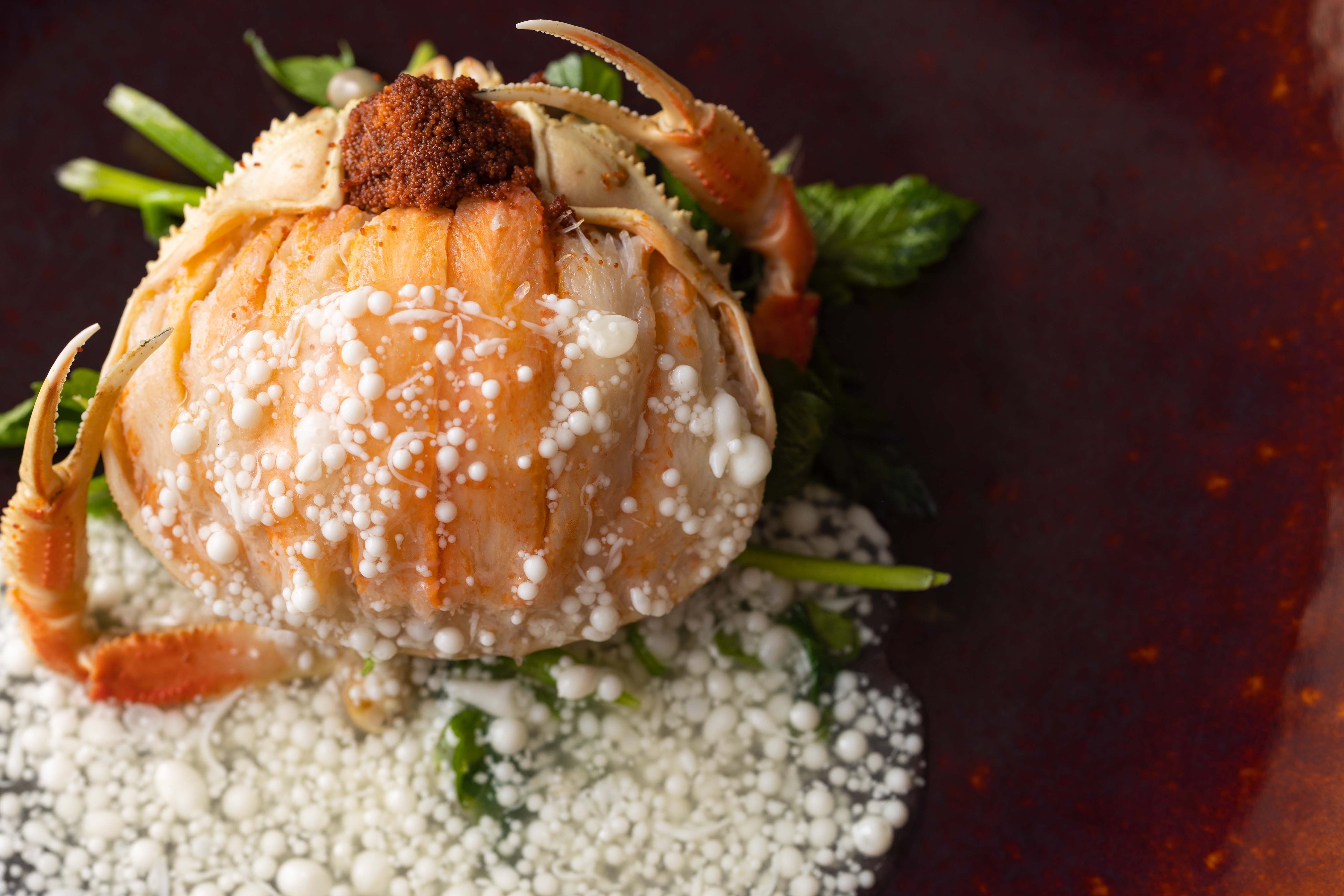 “香箱ガニ”の甲羅詰め 粒雪仕立て