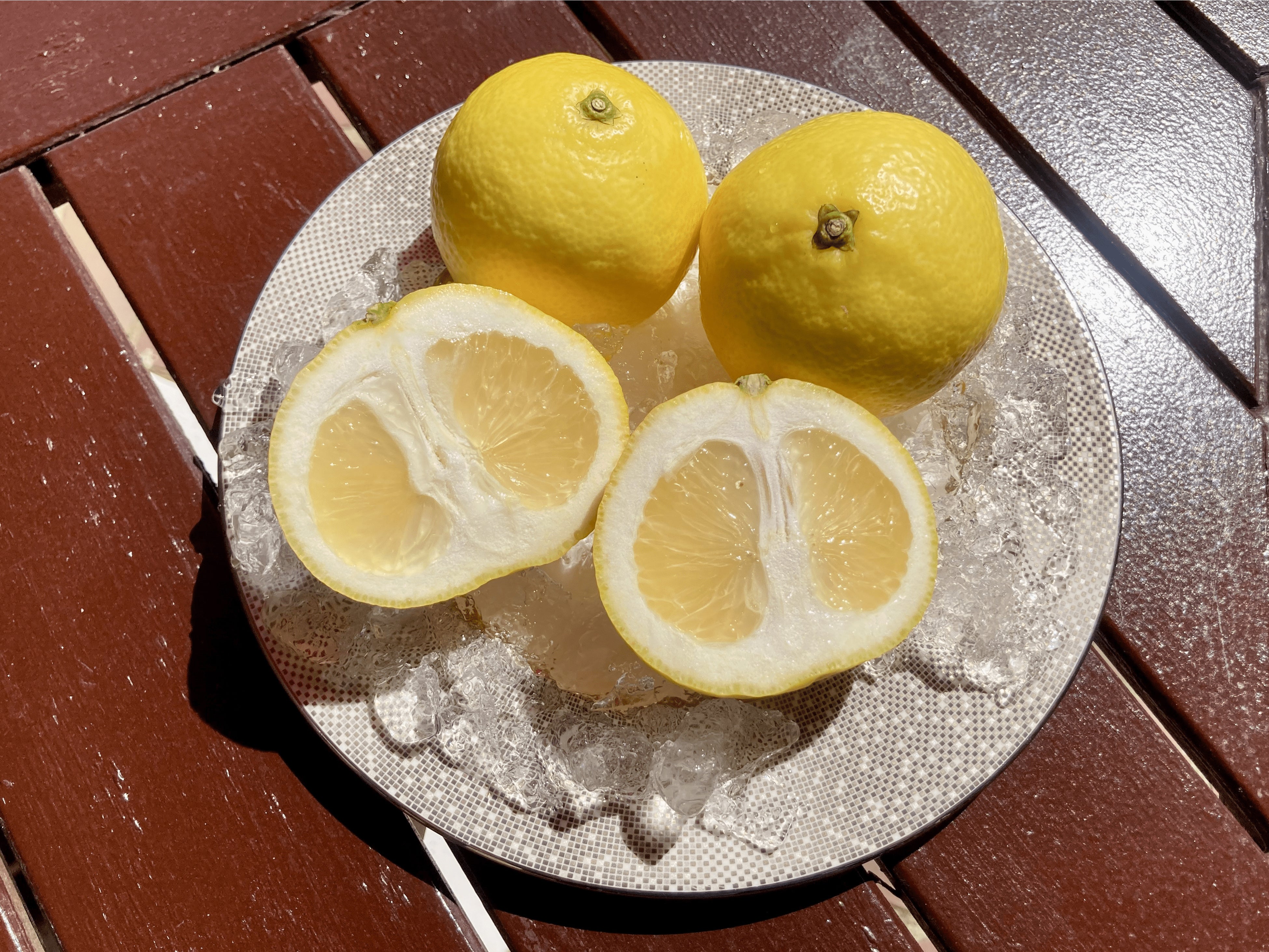 種無しのニューサマーオレンジ