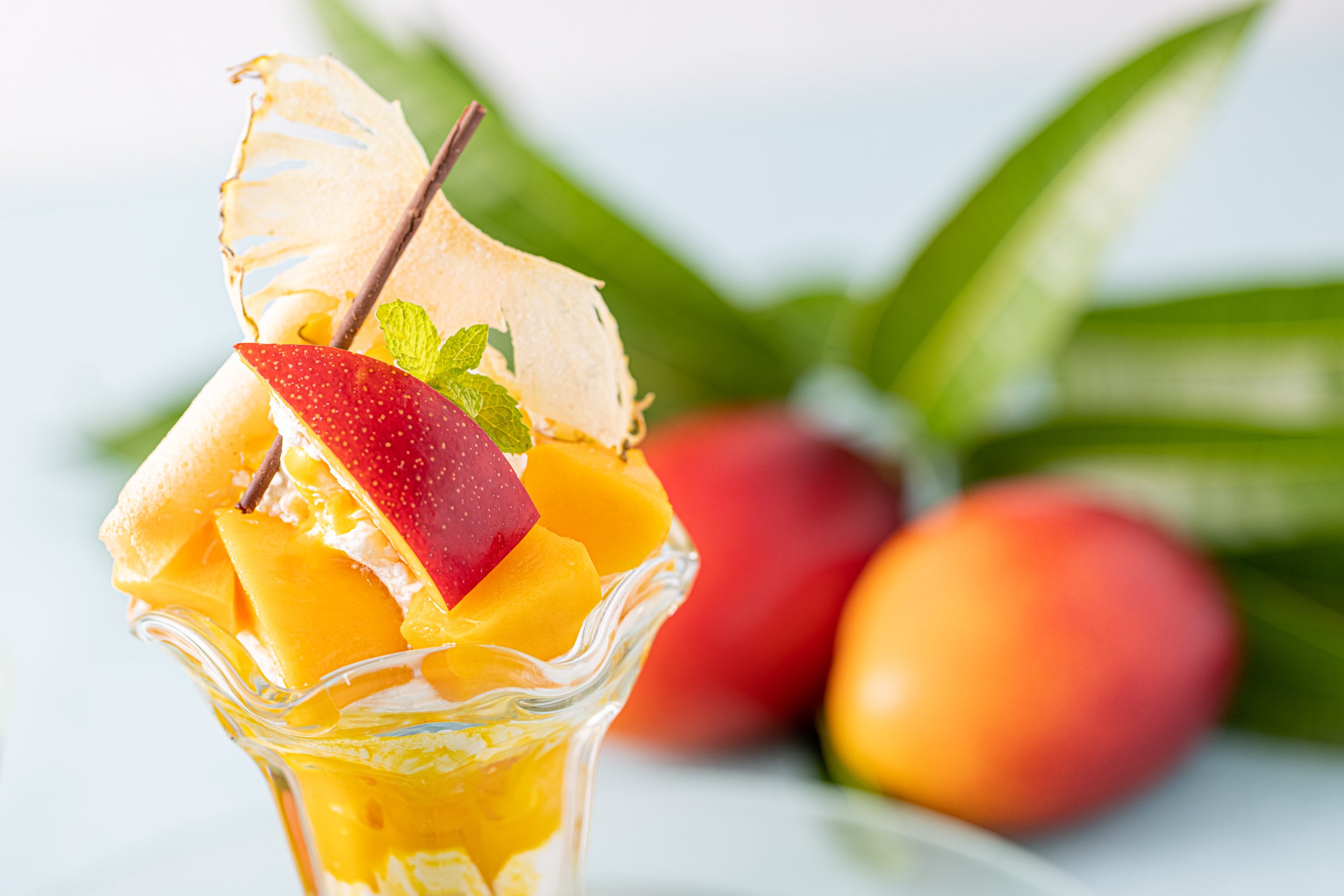 河津産マンゴーパフェ