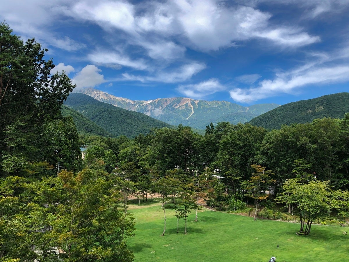 伐採後（4階客室）一例