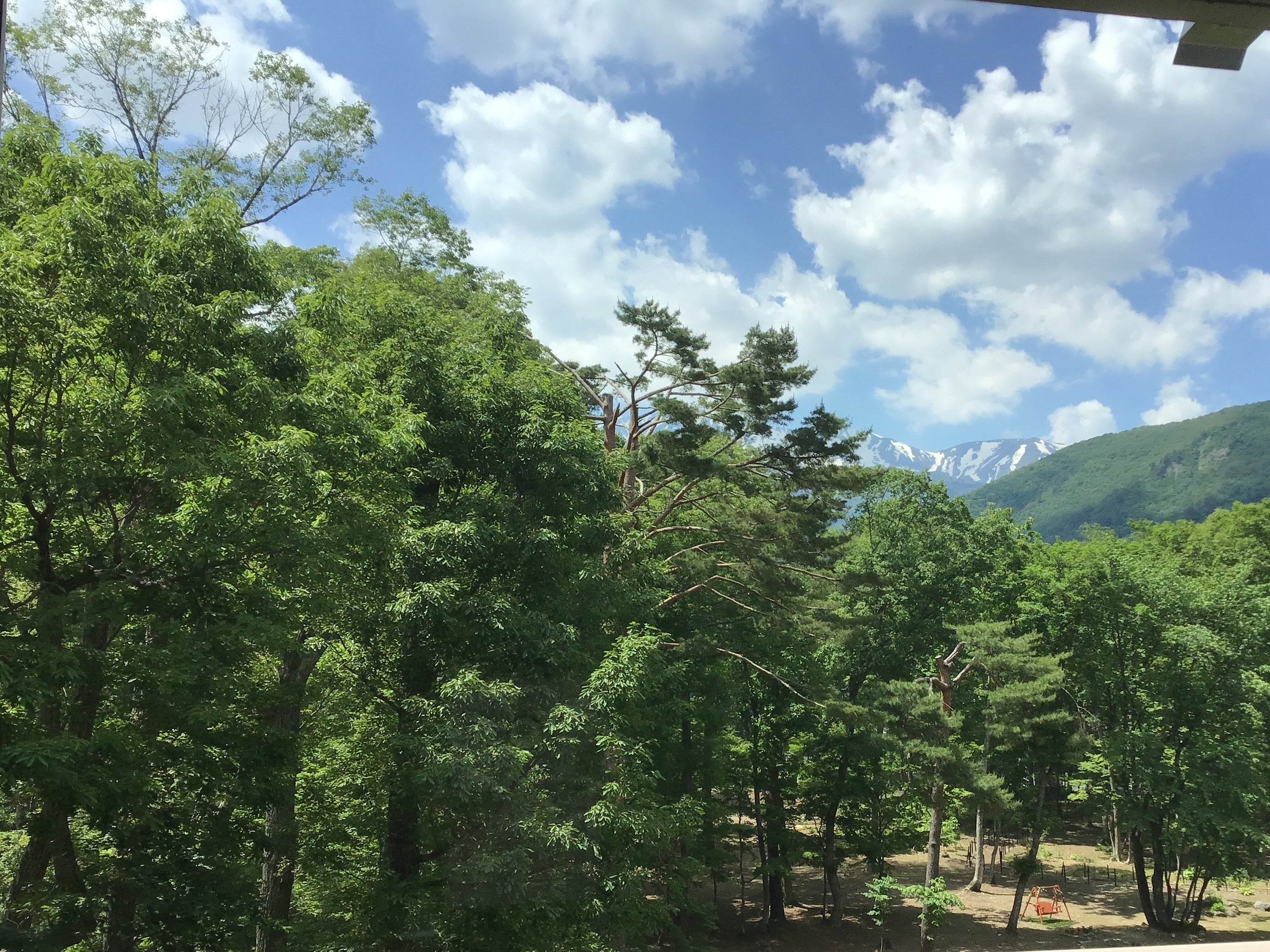 伐採前（4階客室）一例