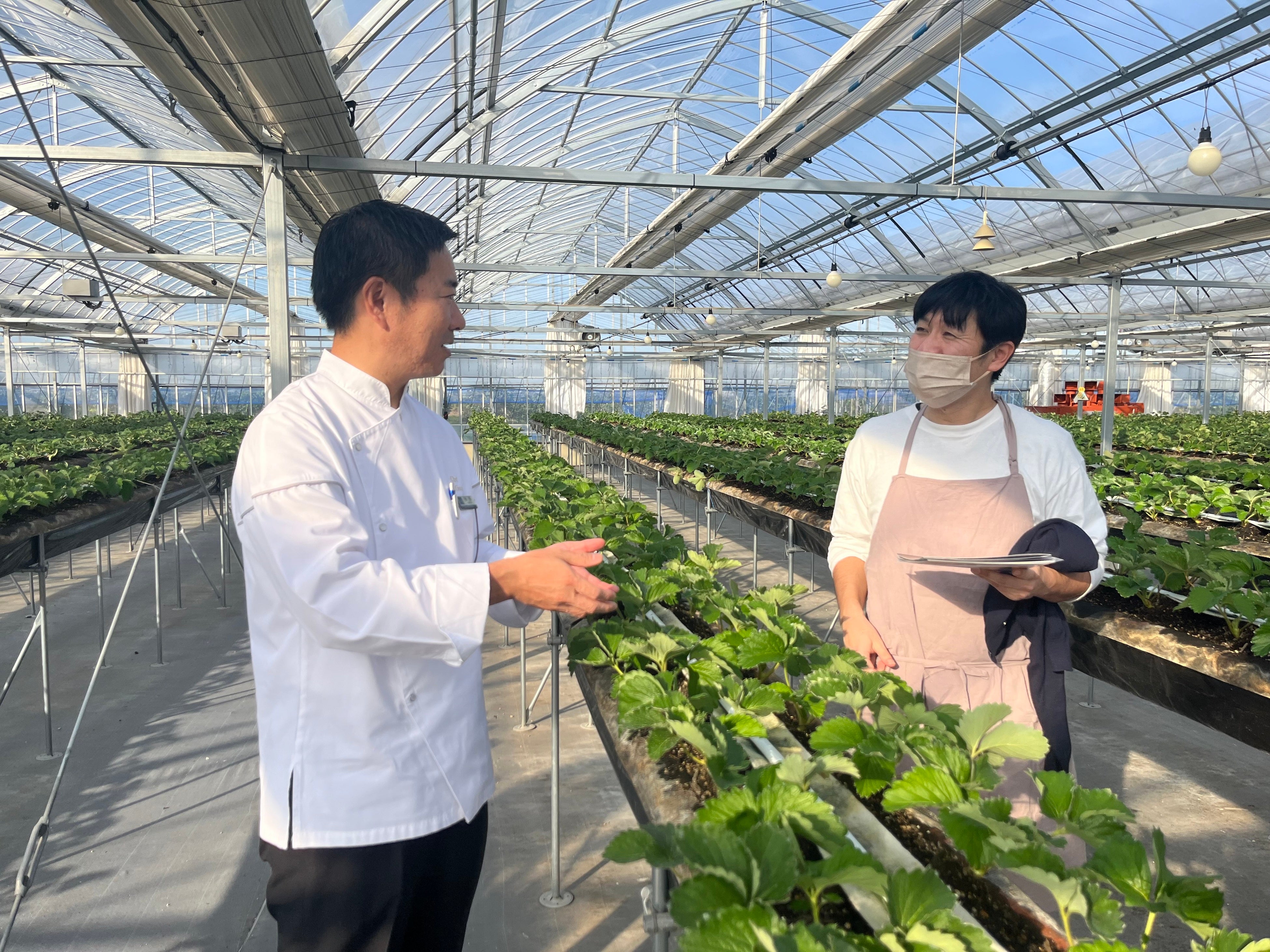 現地視察の様子