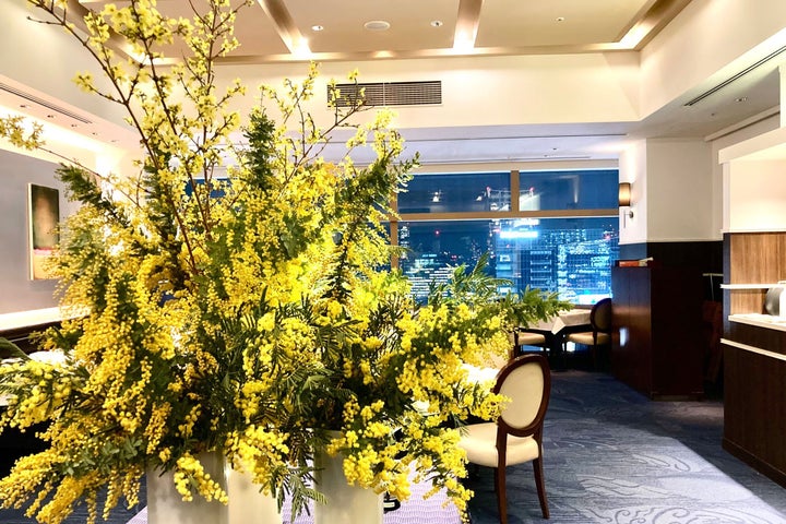 春を告げる華やかなミモザとフレンチの心躍るコラボレーション『シェフのおすすめコース~ミモザ祭り2024~』 春を告げる華やかなミモザとフレンチの心躍るコラボレーション『シェフのおすすめコース~ミモザ祭り2024~』