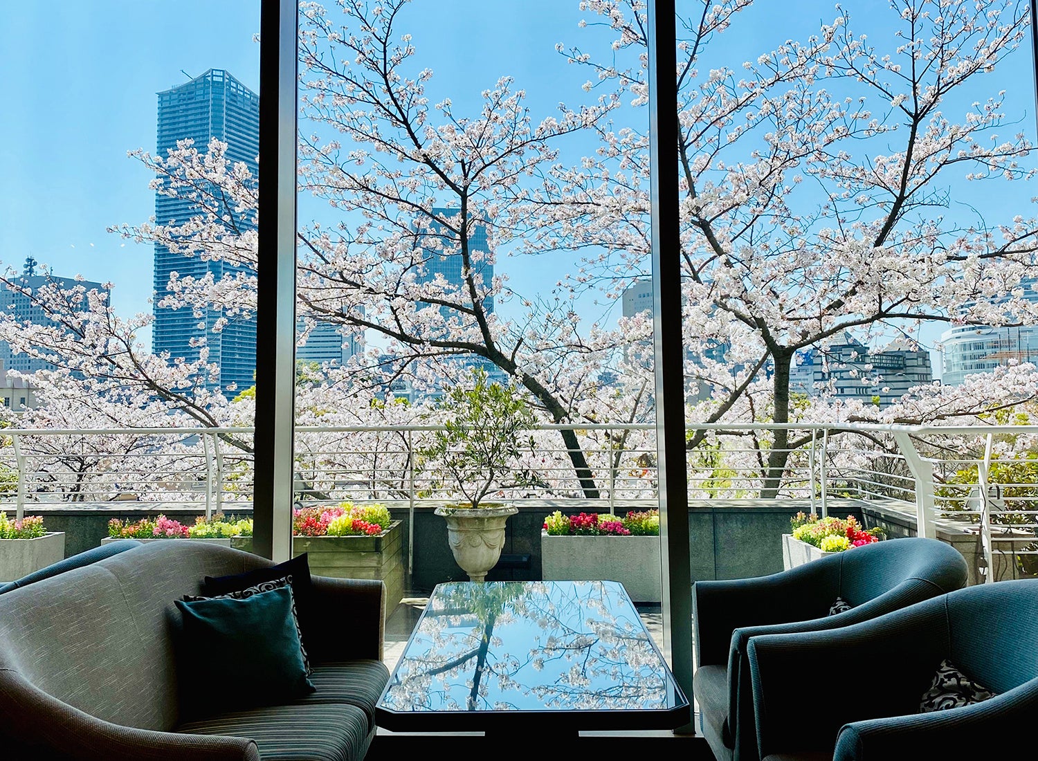 ラウンジ「ソマーハウス」内観イメージ