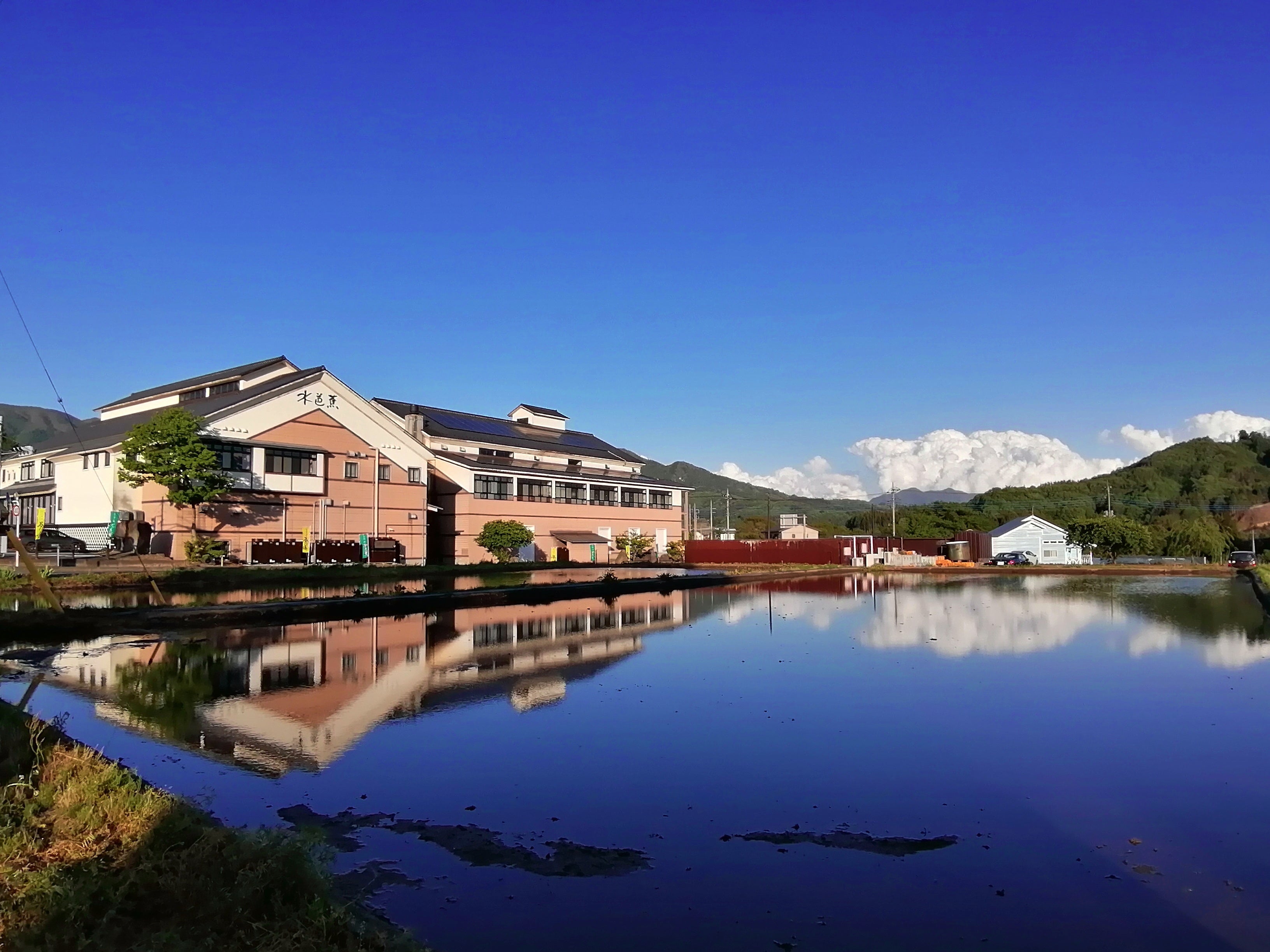 高級手芸 スキルスクリーン 完成品 水芭蕉の風景 野々海高原の水芭蕉｜春｜撮る｜【公式】栄村秋山郷観光協会
