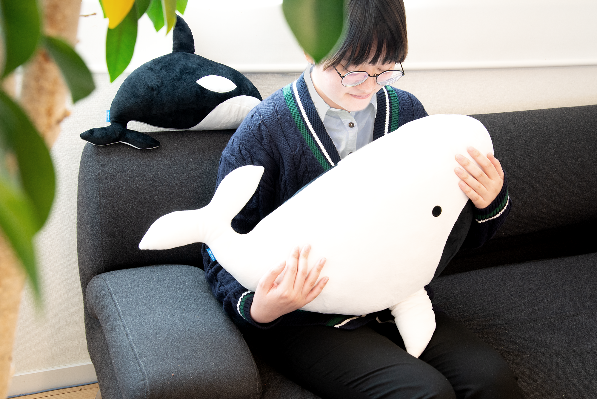 クジラオルカ リバーシブルぬいぐるみ」5月26日発売！クジラを