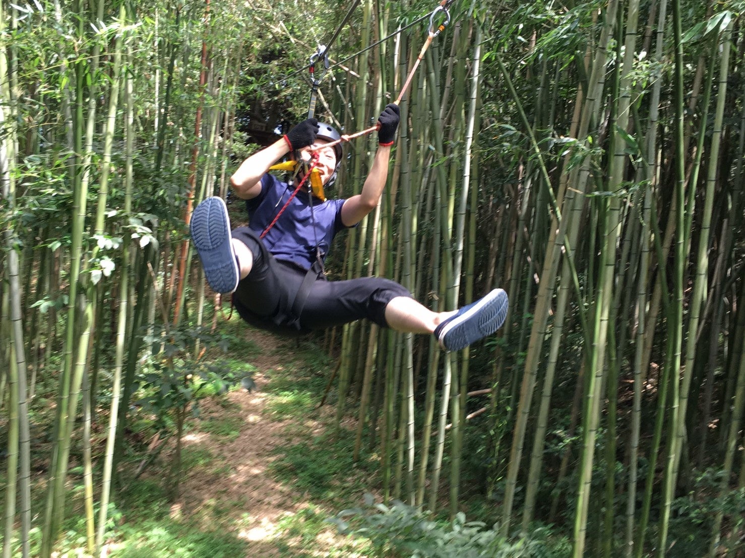 森の中のジップライン（有料）