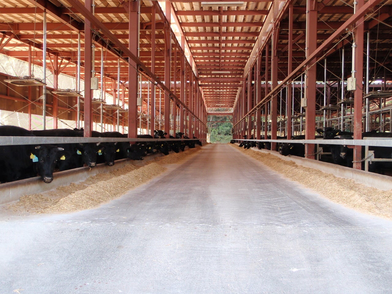島根県益田市の松永牧場
