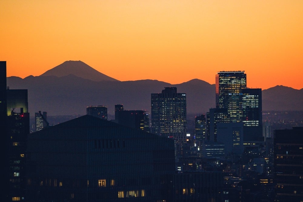 高層階からの眺望
