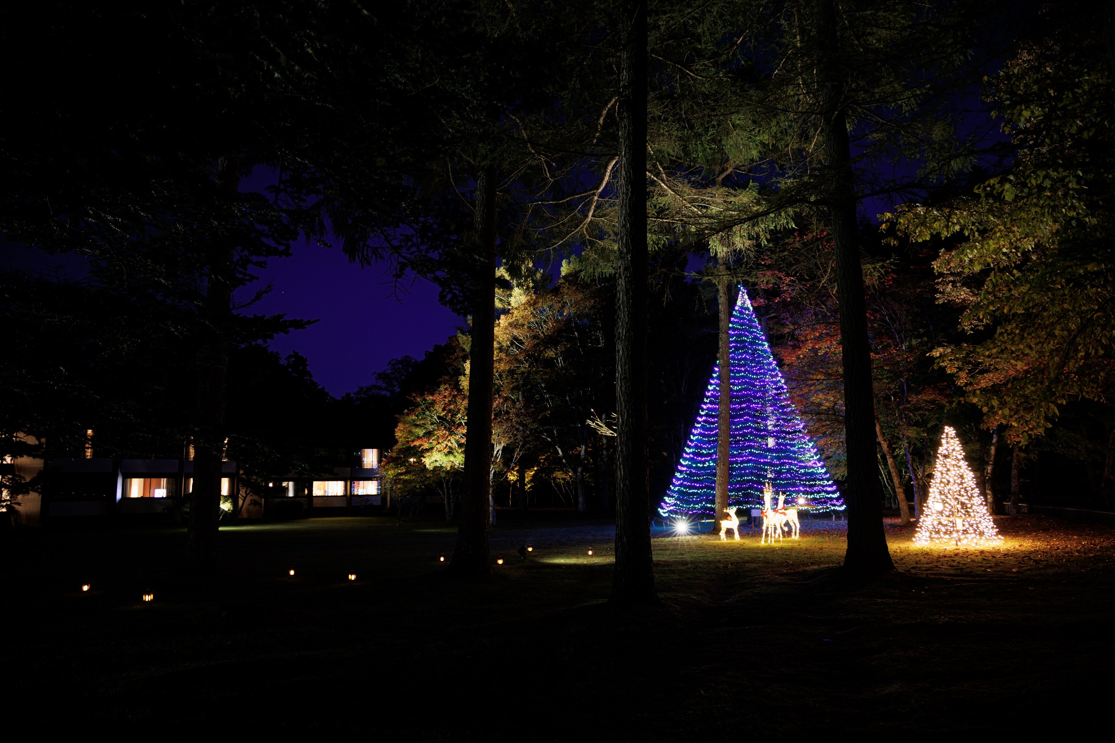 クリスマスイルミネーション