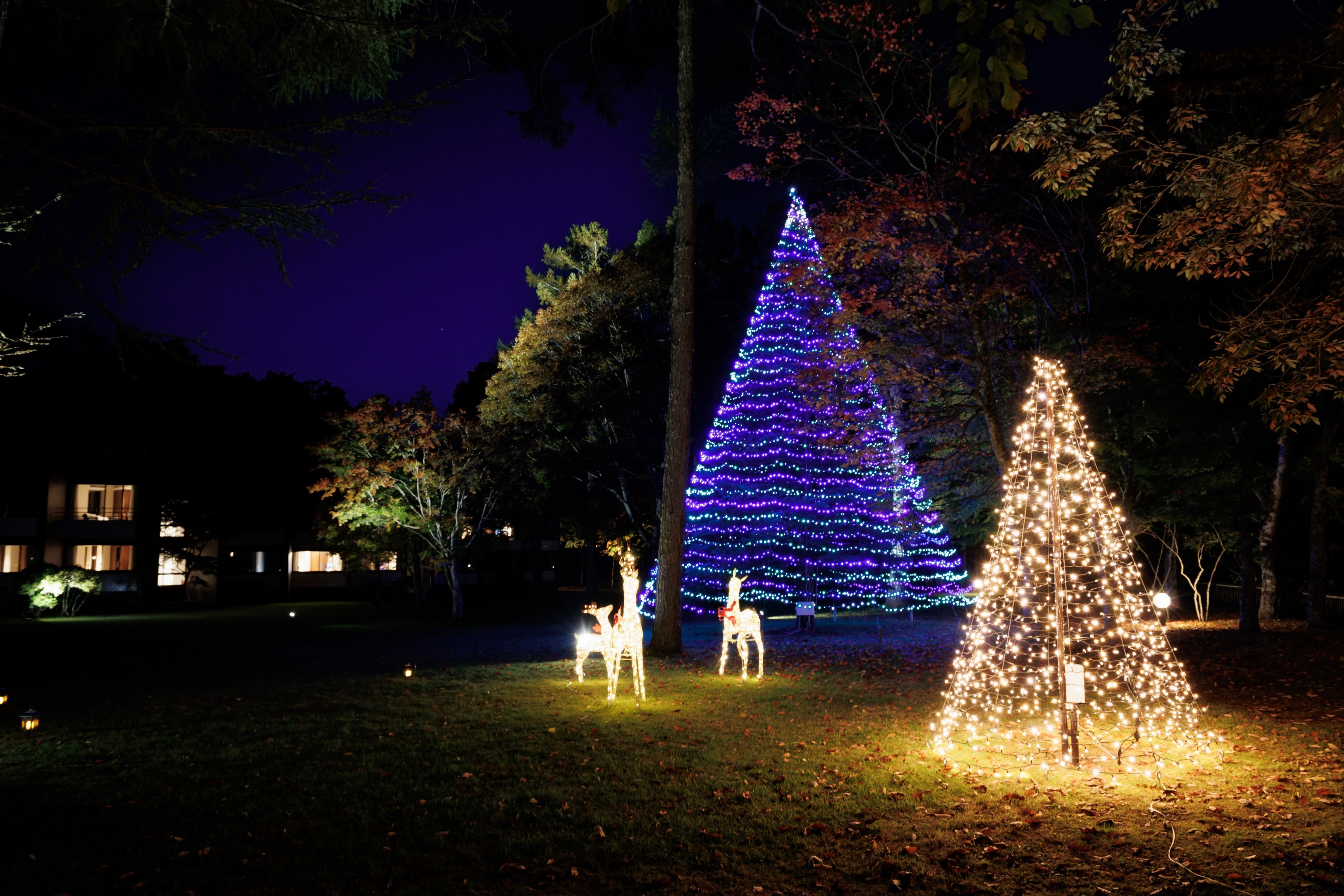 クリスマスイルミネーション