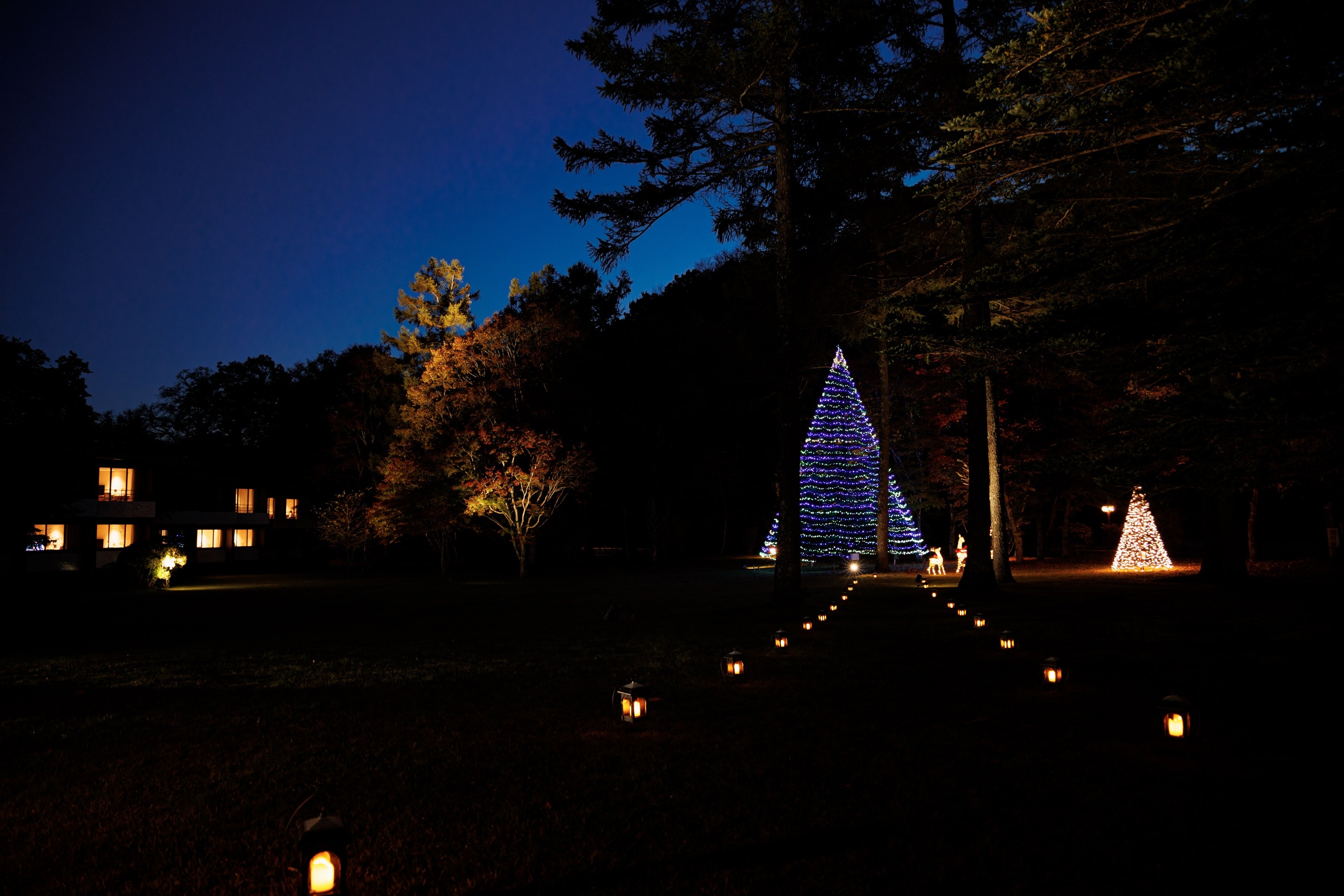 クリスマスイルミネーション