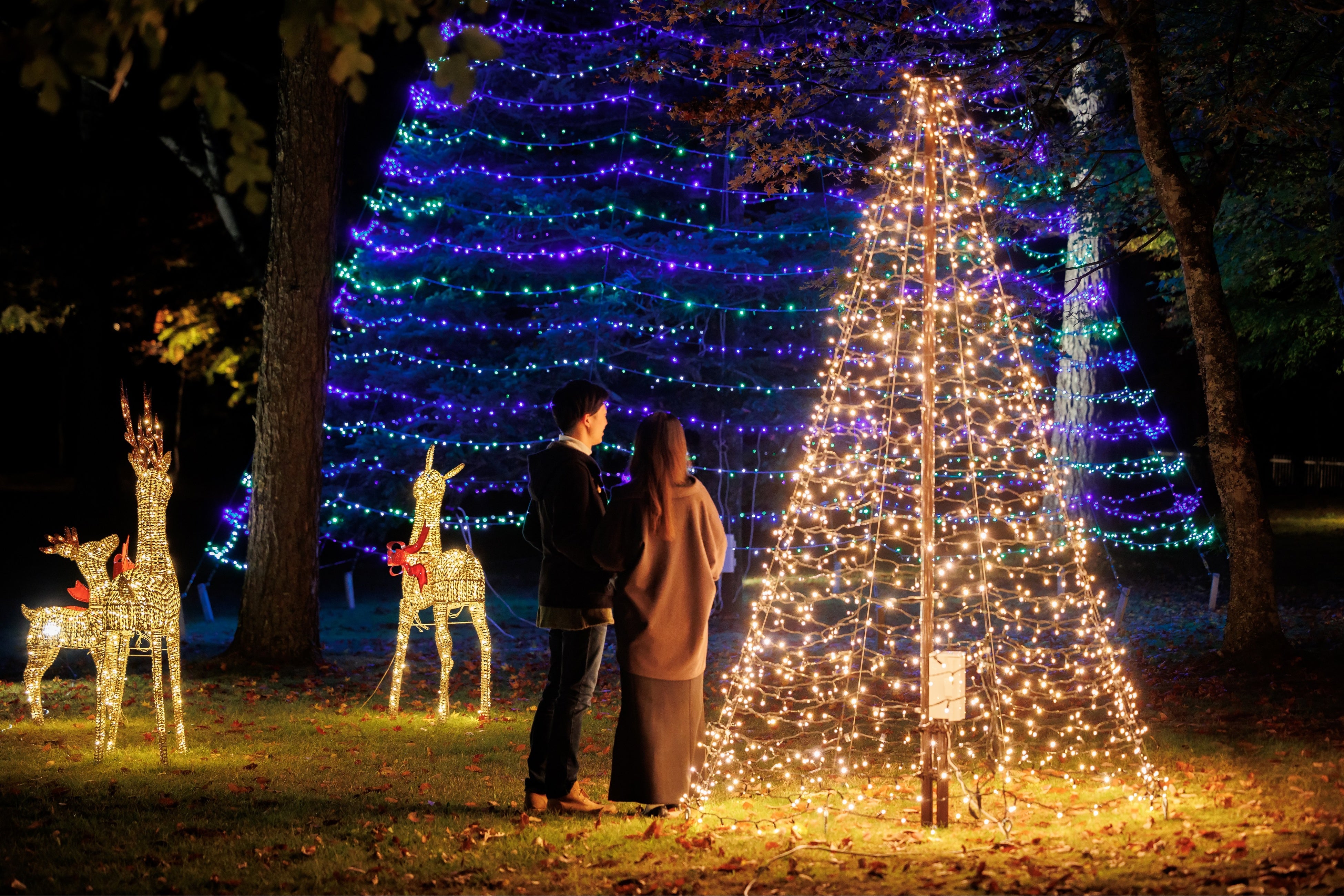 クリスマスイルミネーション