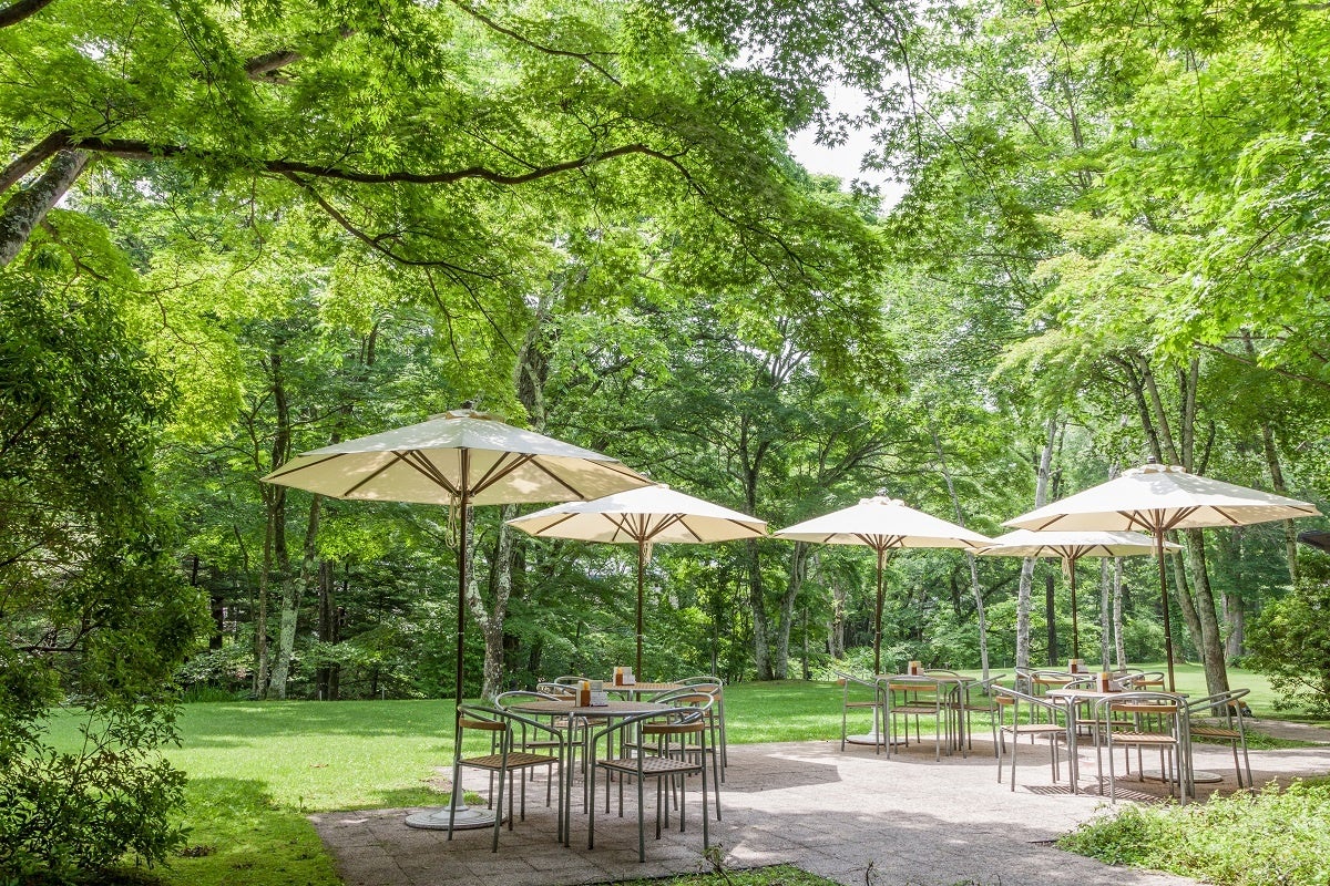 新緑時期のラウンジテラス