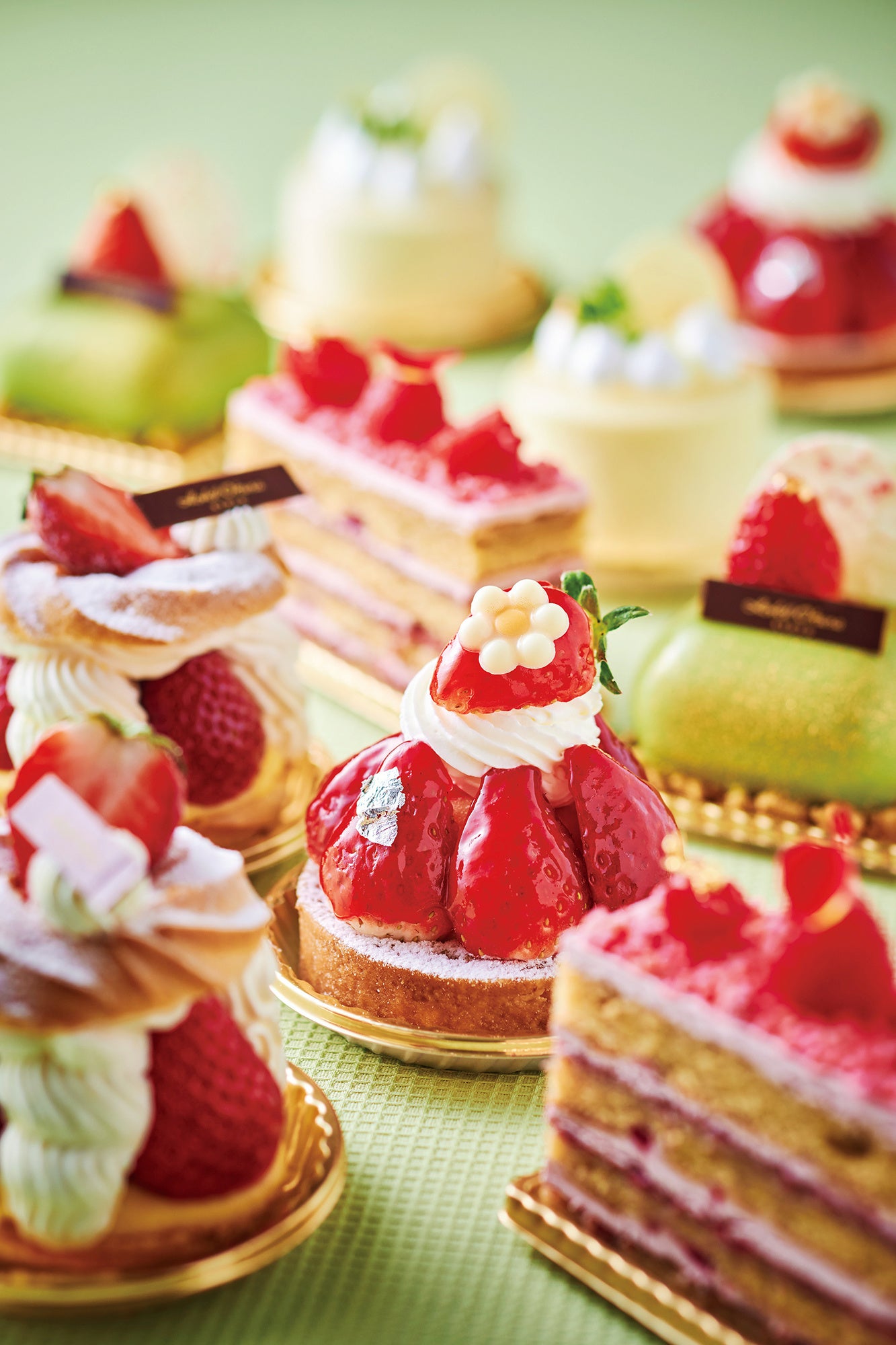 カットケーキ各種