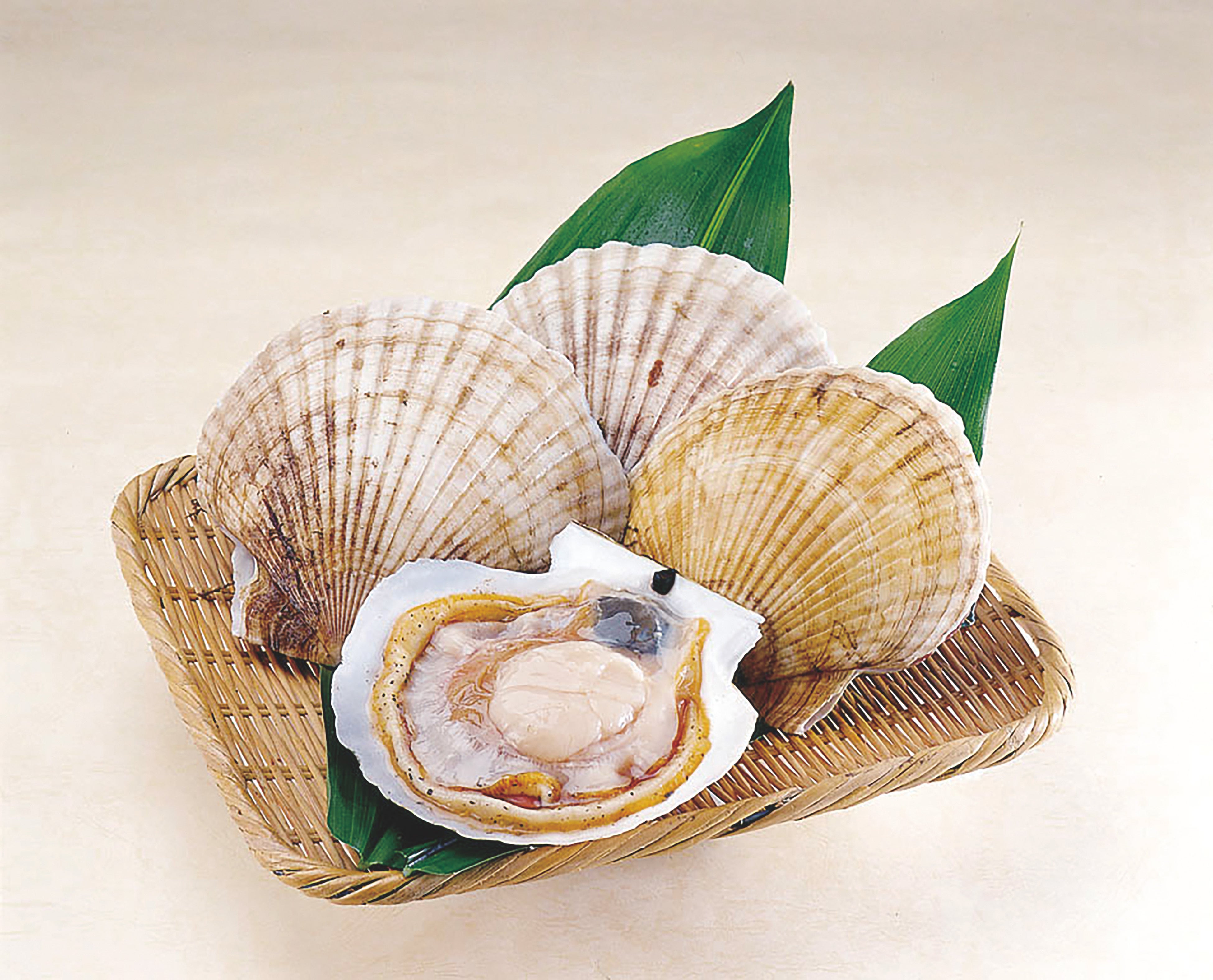 宮城県産ホタテ