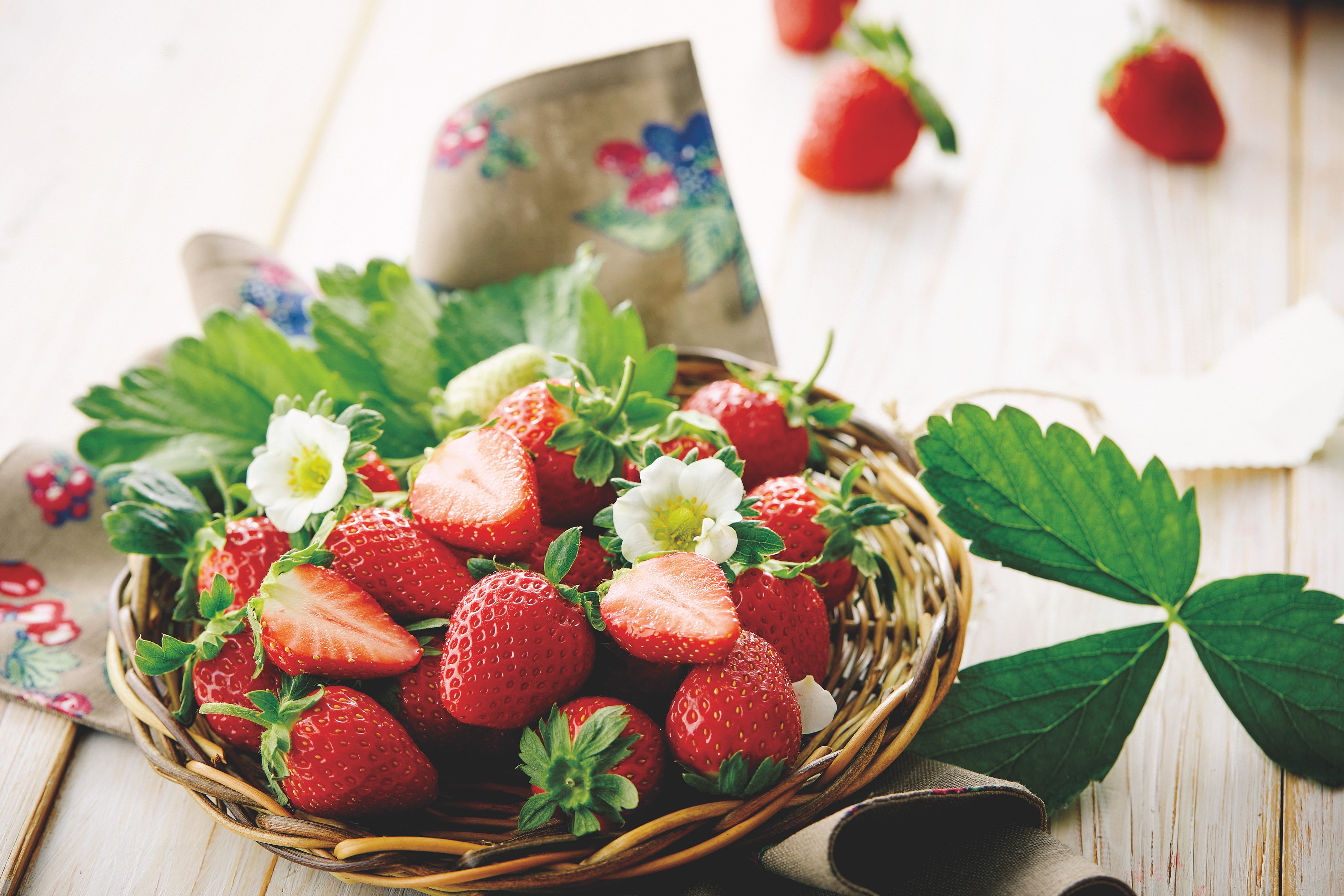 宮城県産いちご