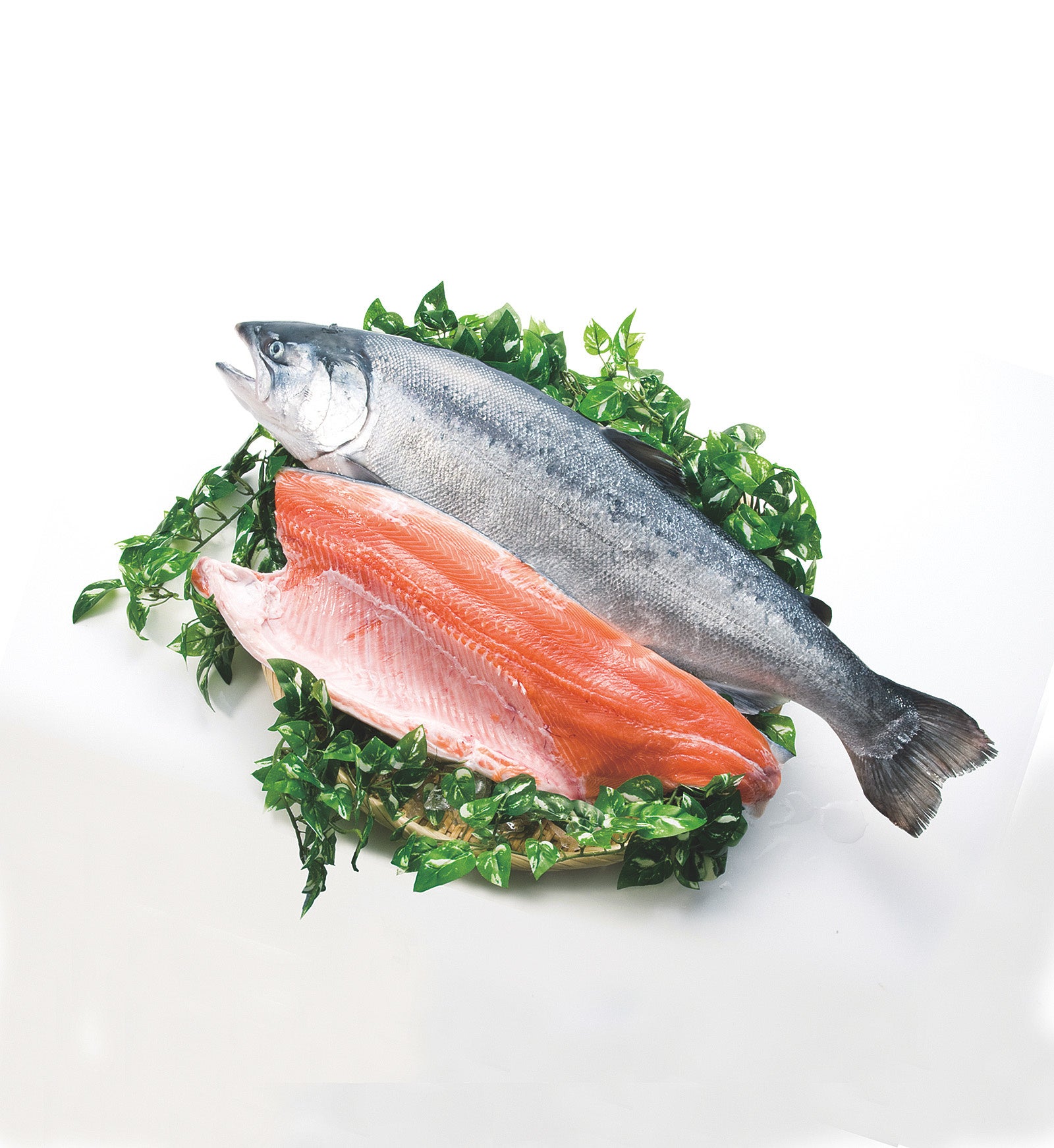 みやぎサーモン