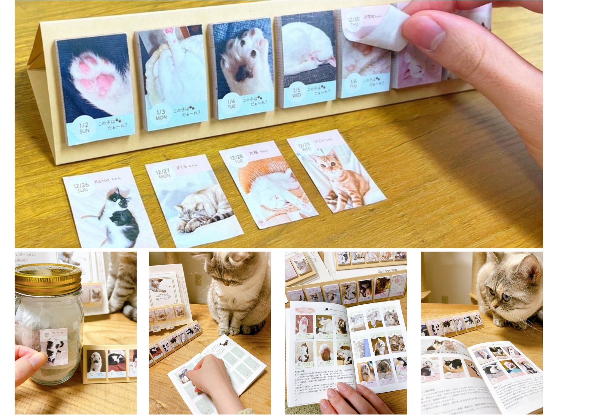 22年は毎日違う猫ちゃんと 新感覚の 日めくり猫カレンダー 登場 株式会社tiramisuのプレスリリース 22年は毎日違う猫ちゃんと 新感覚の 日めくり猫カレンダー 登場 株式会社tiramisuのプレスリリース