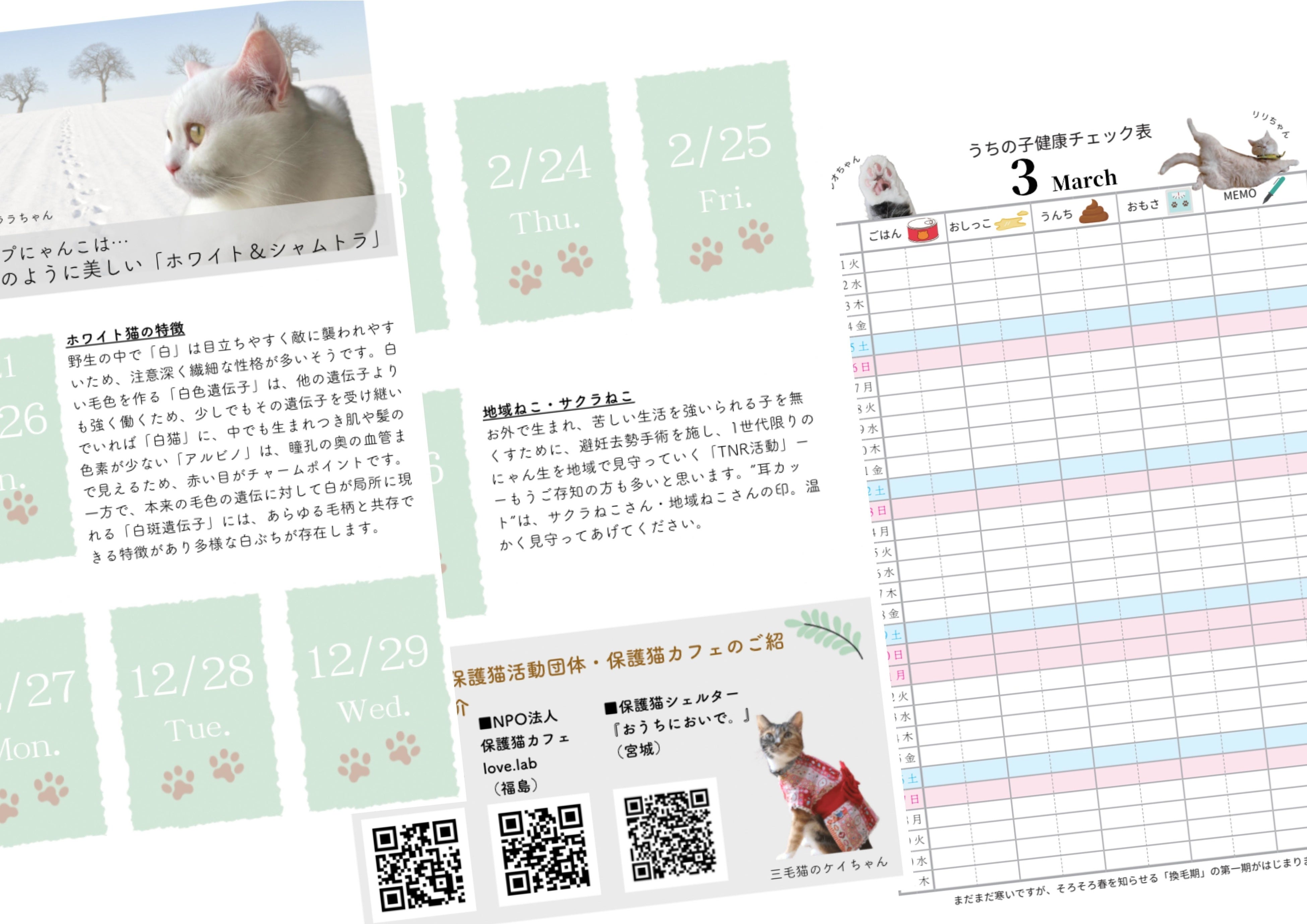 22年は毎日違う猫ちゃんと 新感覚の 日めくり猫カレンダー 登場 株式会社tiramisuのプレスリリース