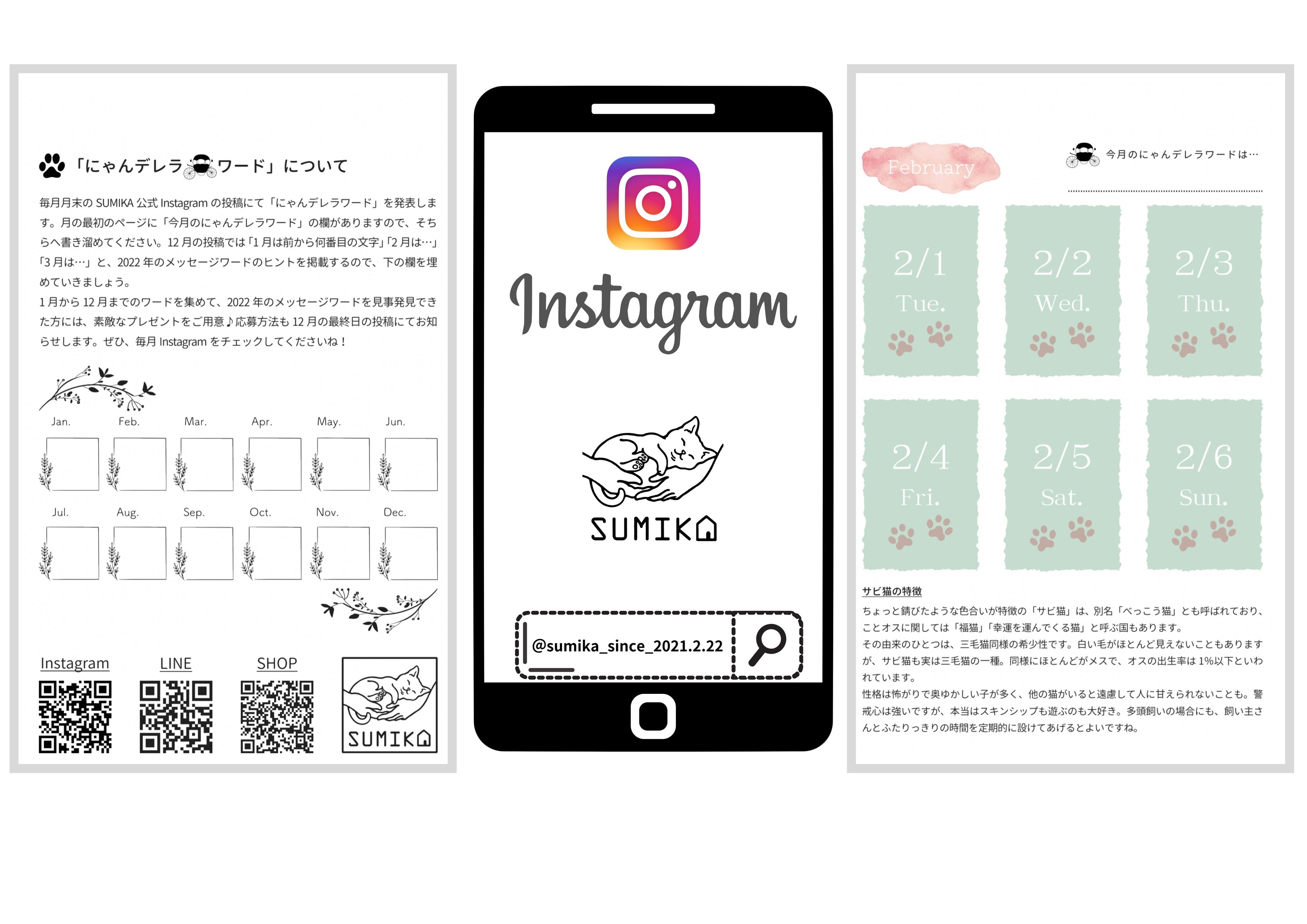 22年は毎日違う猫ちゃんと 新感覚の 日めくり猫カレンダー 登場 株式会社tiramisuのプレスリリース