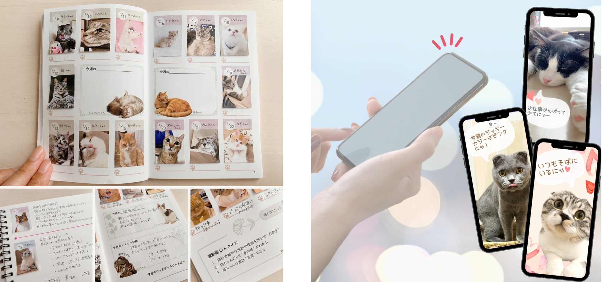 文房具の枠を飛び越えたSNS連動企画も!